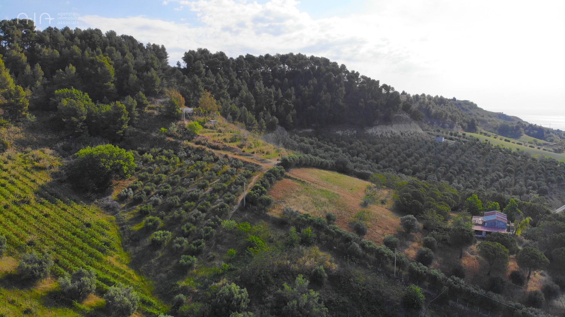 Terreno Agricolo (con / Senza Piccolo Prefabbricato) in vendita a Monteprandone
