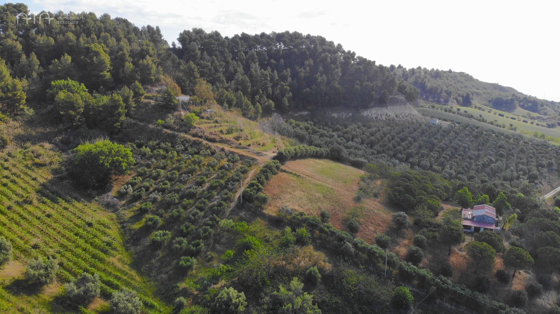 Terreno Agricolo (con / Senza Piccolo Prefabbricato) in vendita a Monteprandone