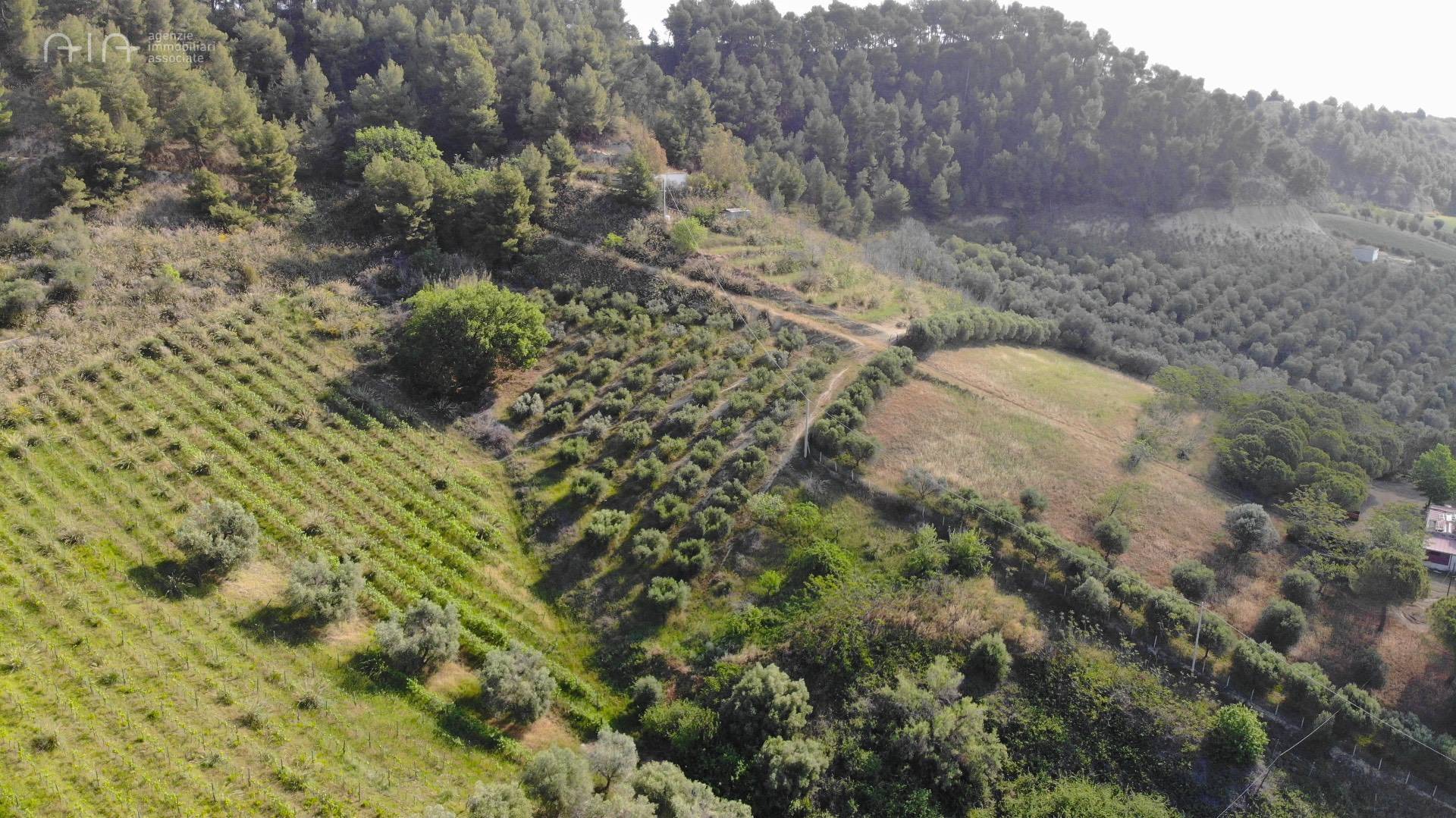 Terreno Agricolo (con / Senza Piccolo Prefabbricato) in vendita a Monteprandone