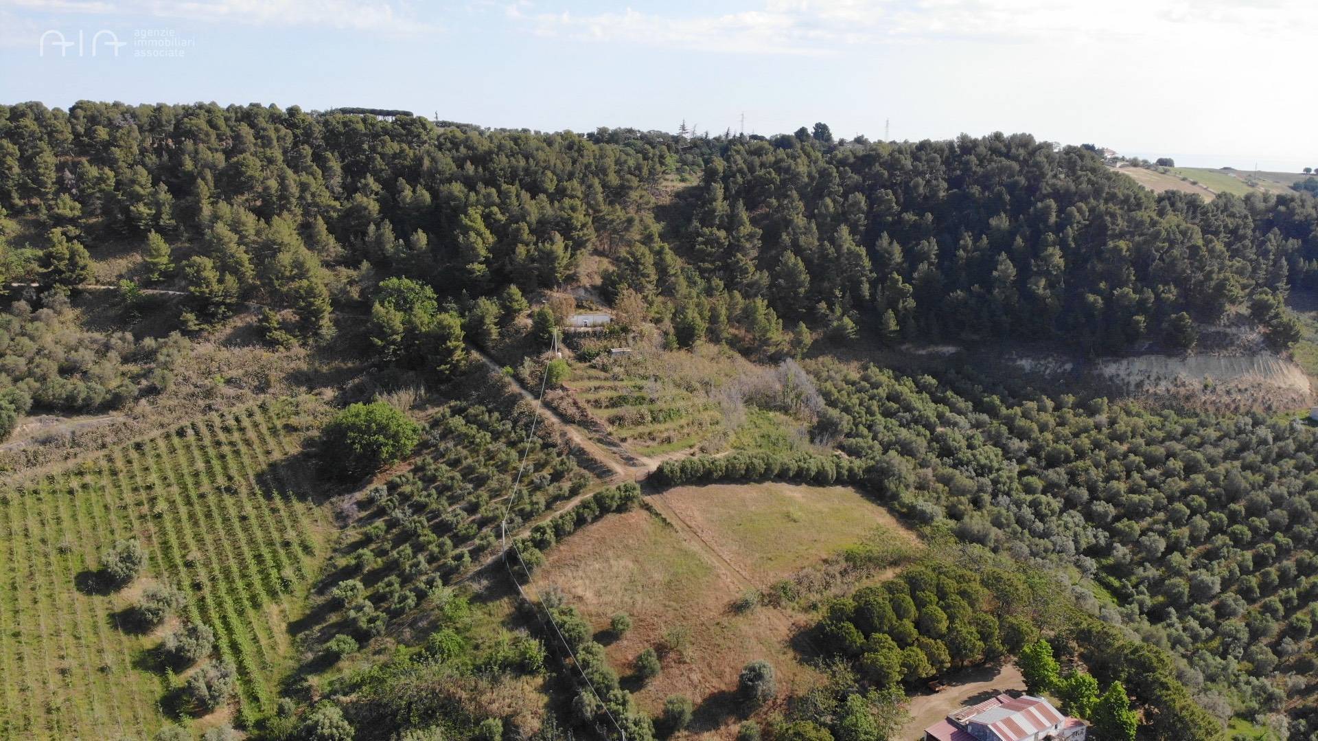 Terreno Agricolo (con / Senza Piccolo Prefabbricato) in vendita a Monteprandone