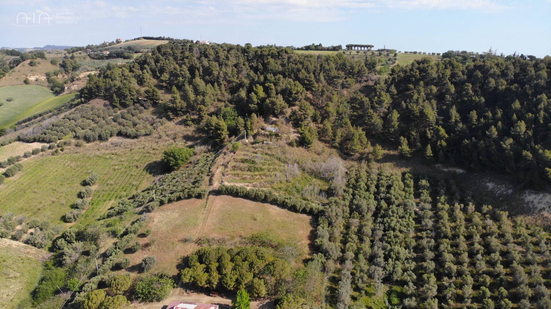 Terreno Agricolo (con / Senza Piccolo Prefabbricato) in vendita a Monteprandone