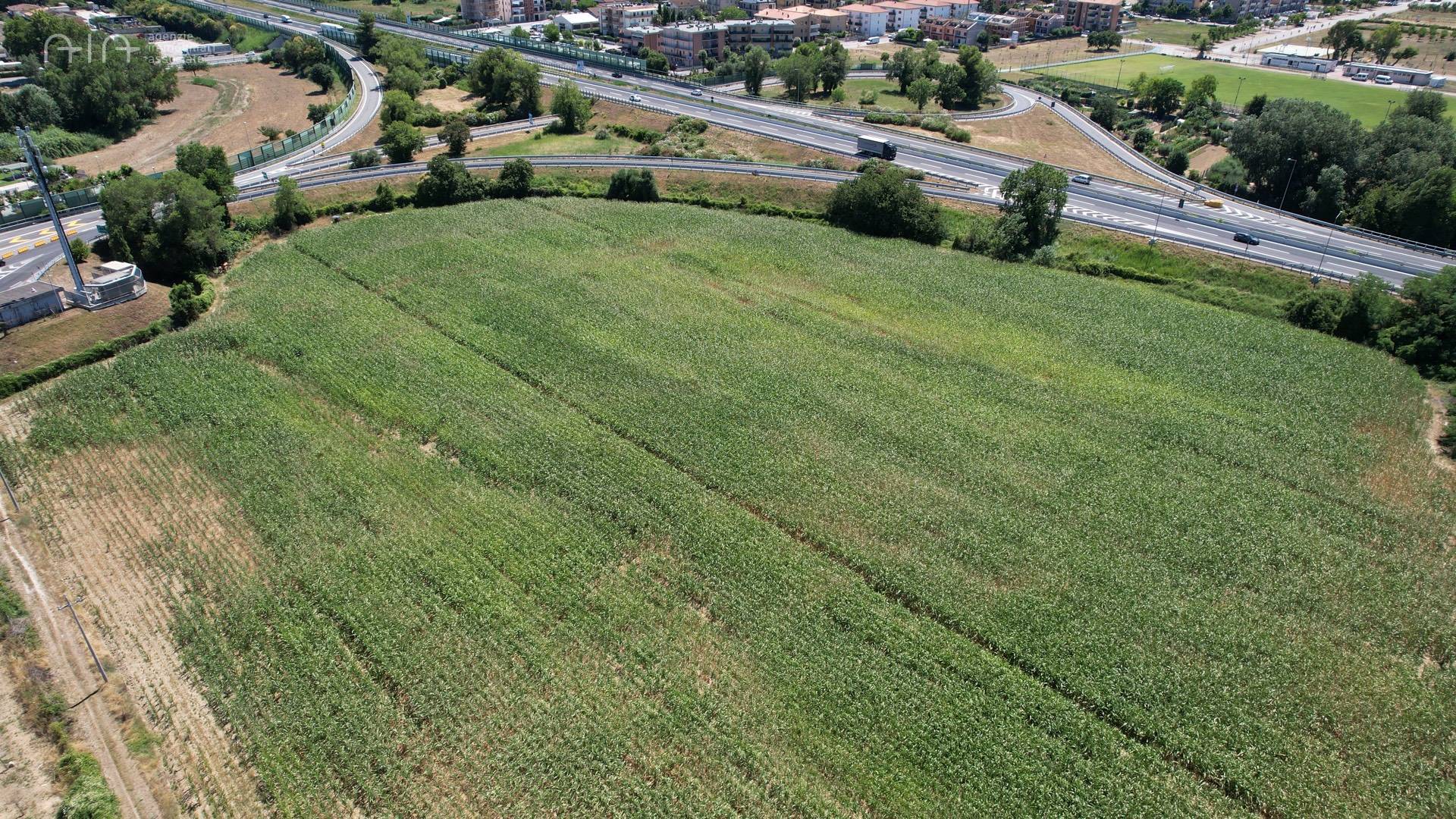 Terreno Edificabile Residenziale in vendita a Pedaso, Lungomare