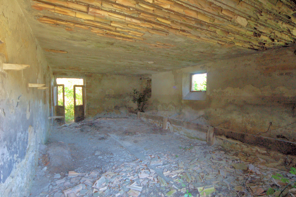 Casale Colonico Rustico in vendita a Force, Collinare