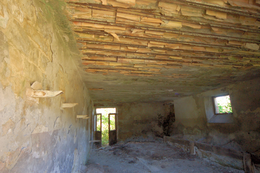 Casale Colonico Rustico in vendita a Force, Collinare