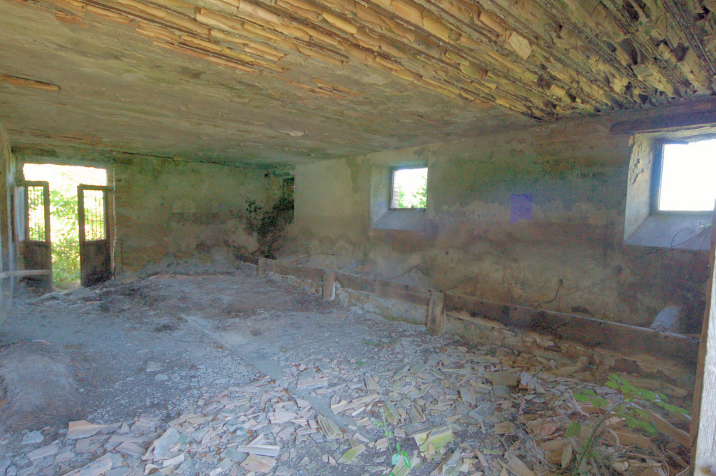 Casale Colonico Rustico in vendita a Force, Collinare