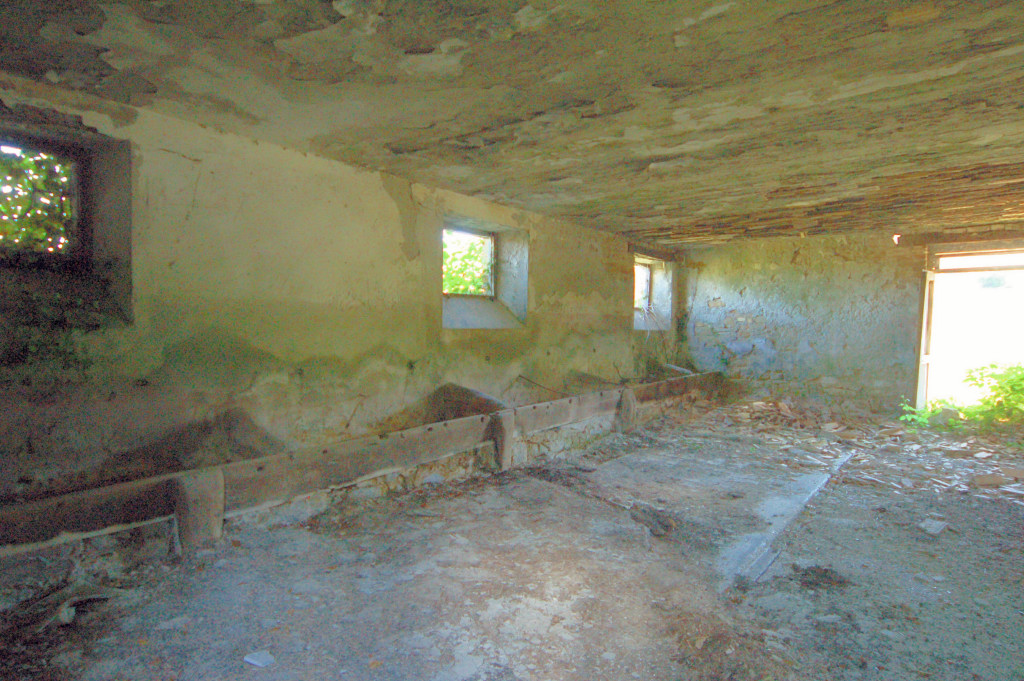 Casale Colonico Rustico in vendita a Force, Collinare