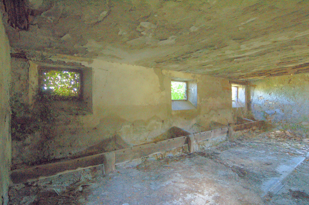 Casale Colonico Rustico in vendita a Force, Collinare