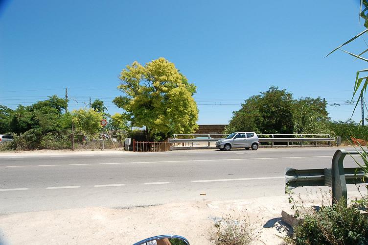 immagine annuncio 6 di 7