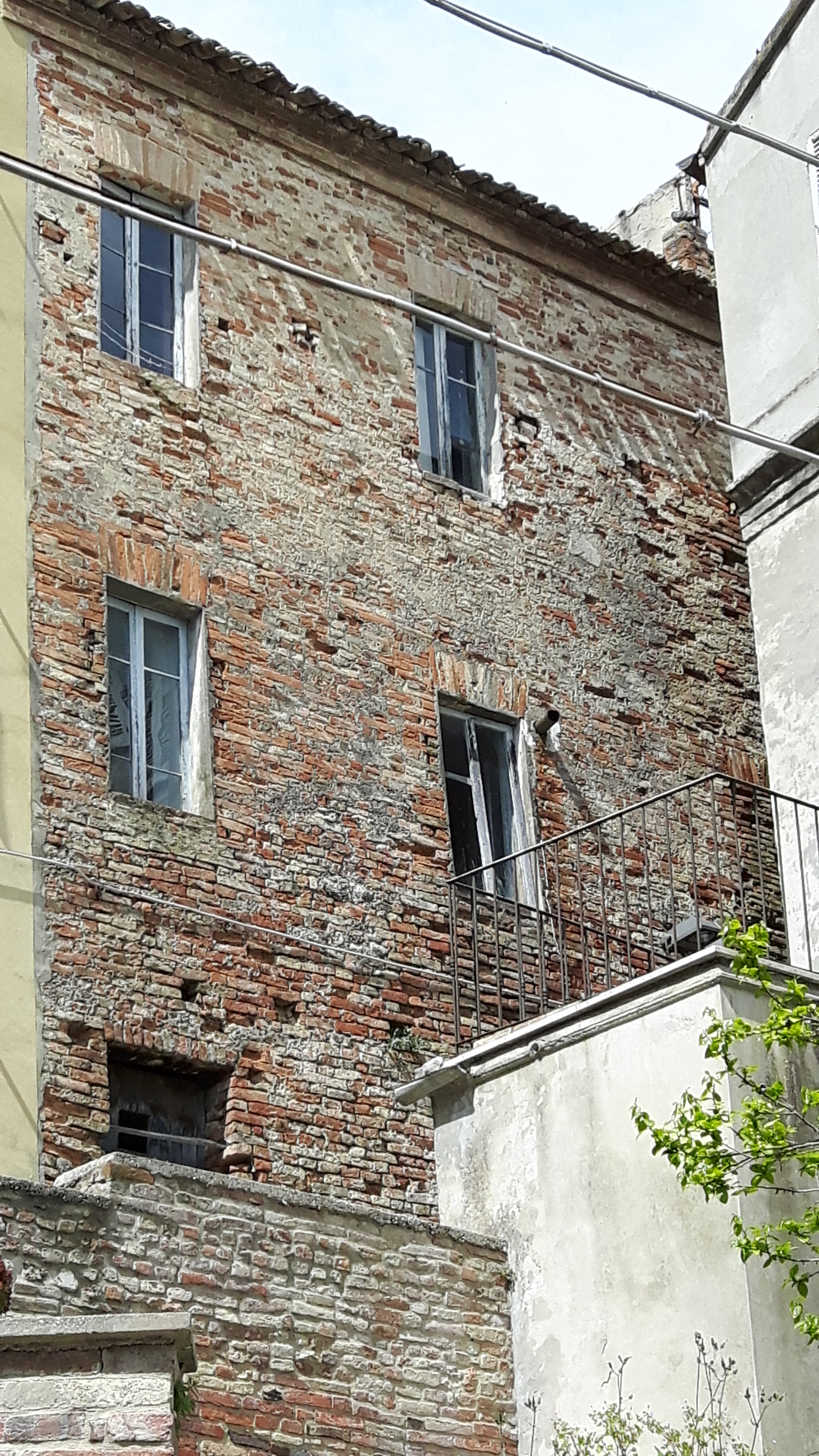 immagine annuncio 1 di 6