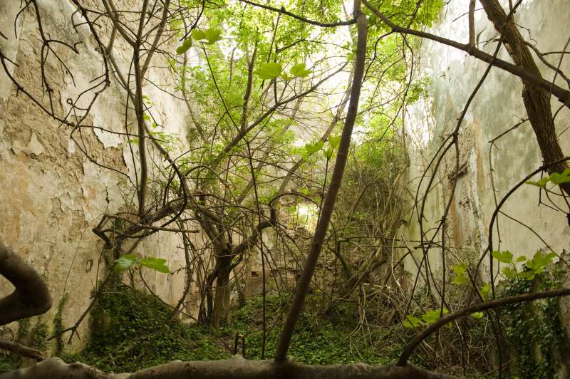 Casale Colonico Rustico in vendita a Ascoli Piceno, Collinare