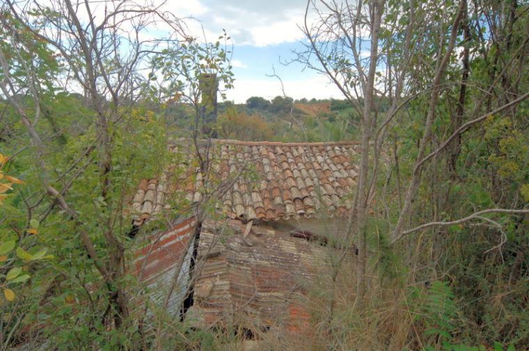 Casale Colonico Rustico in vendita a Cupra Marittima, Collinare (al Di Sopra Della Statale 16)