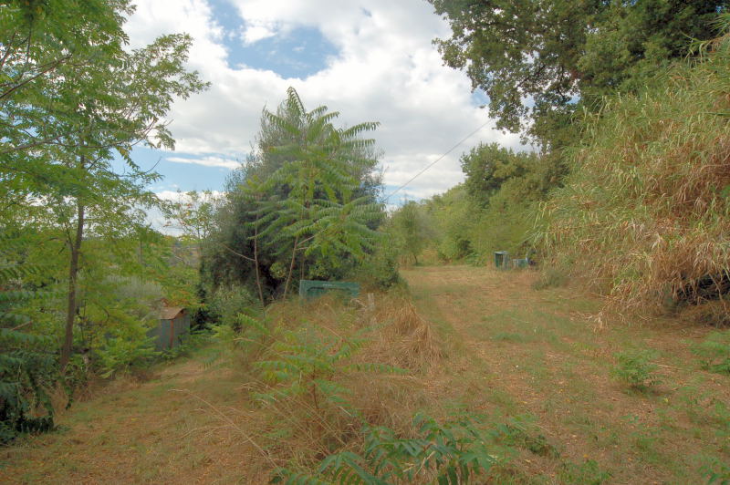 Casale Colonico Rustico in vendita a Cupra Marittima, Collinare (al Di Sopra Della Statale 16)