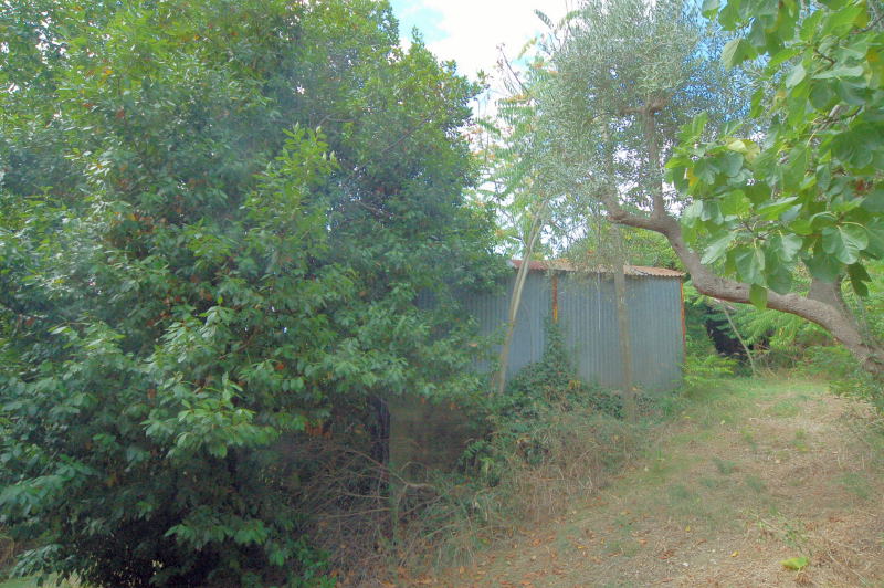 Casale Colonico Rustico in vendita a Cupra Marittima, Collinare (al Di Sopra Della Statale 16)
