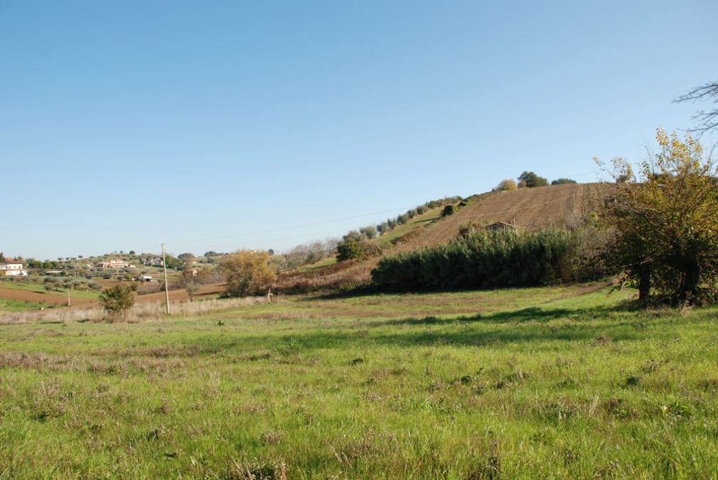 Terreno Agricolo (con / Senza Piccolo Prefabbricato) in vendita a Controguerra, Collinare