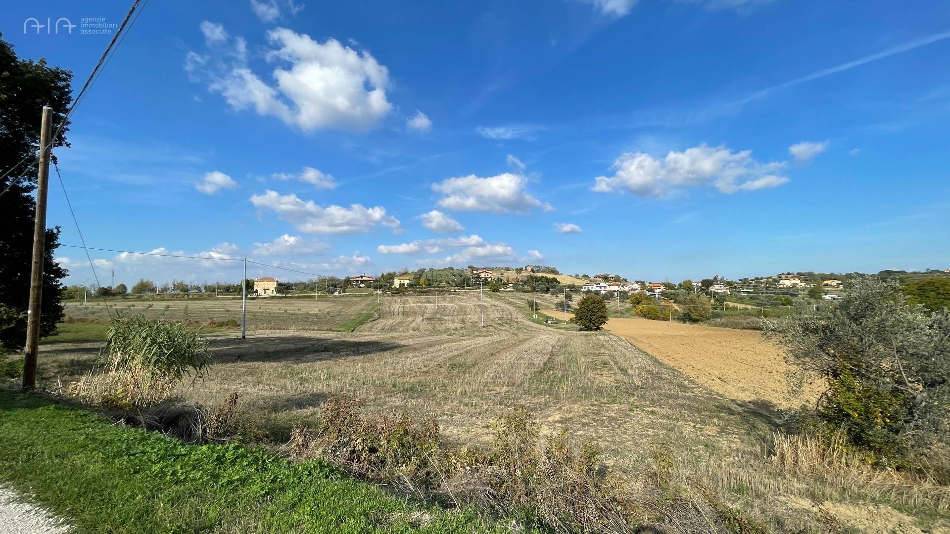 Terreno Agricolo (con / Senza Piccolo Prefabbricato) in vendita a Controguerra, Collinare