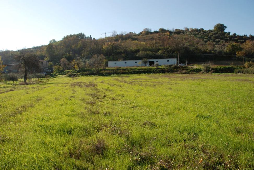 Terreno Agricolo (con / Senza Piccolo Prefabbricato) in vendita a Controguerra, Collinare