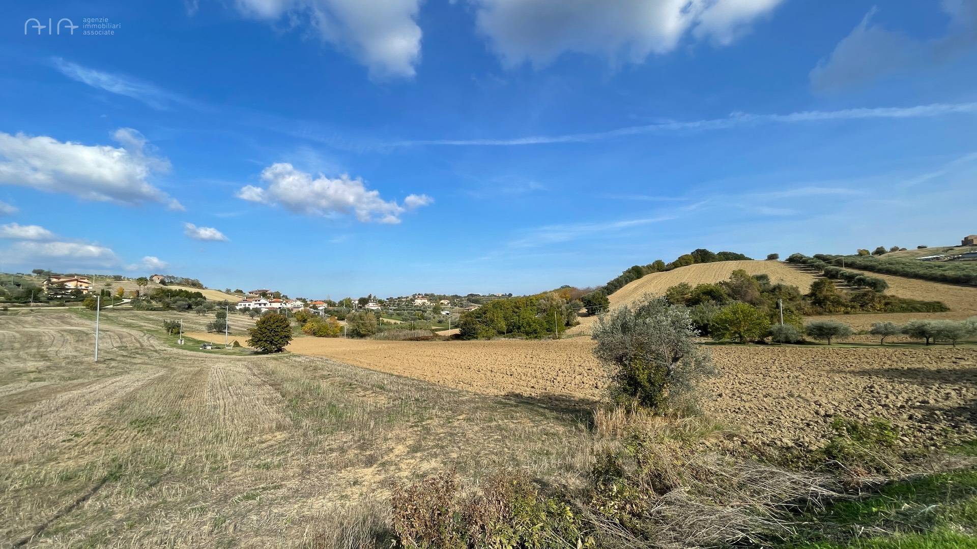Terreno Agricolo (con / Senza Piccolo Prefabbricato) in vendita a Controguerra, Collinare