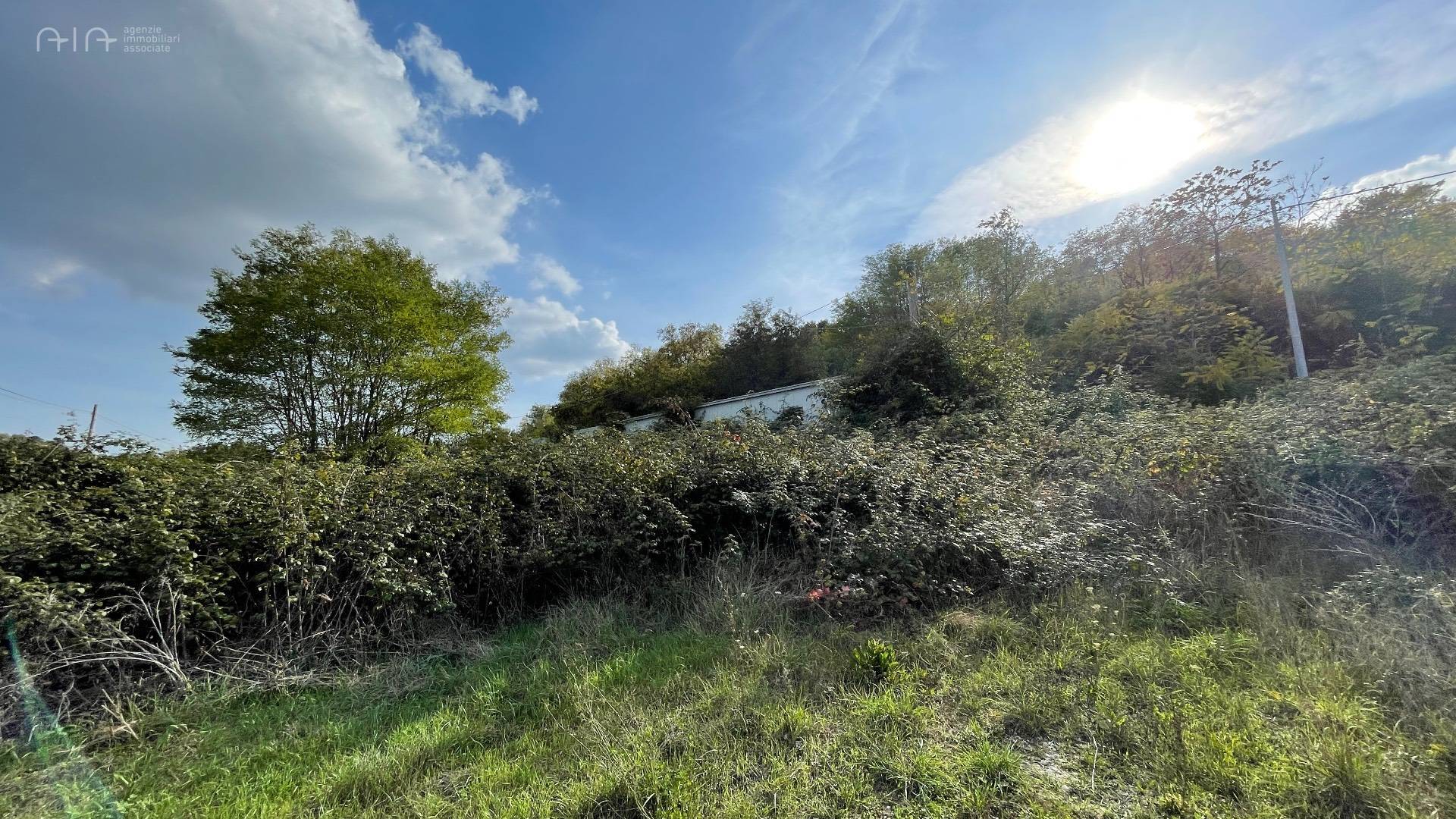 Terreno Agricolo (con / Senza Piccolo Prefabbricato) in vendita a Controguerra, Collinare
