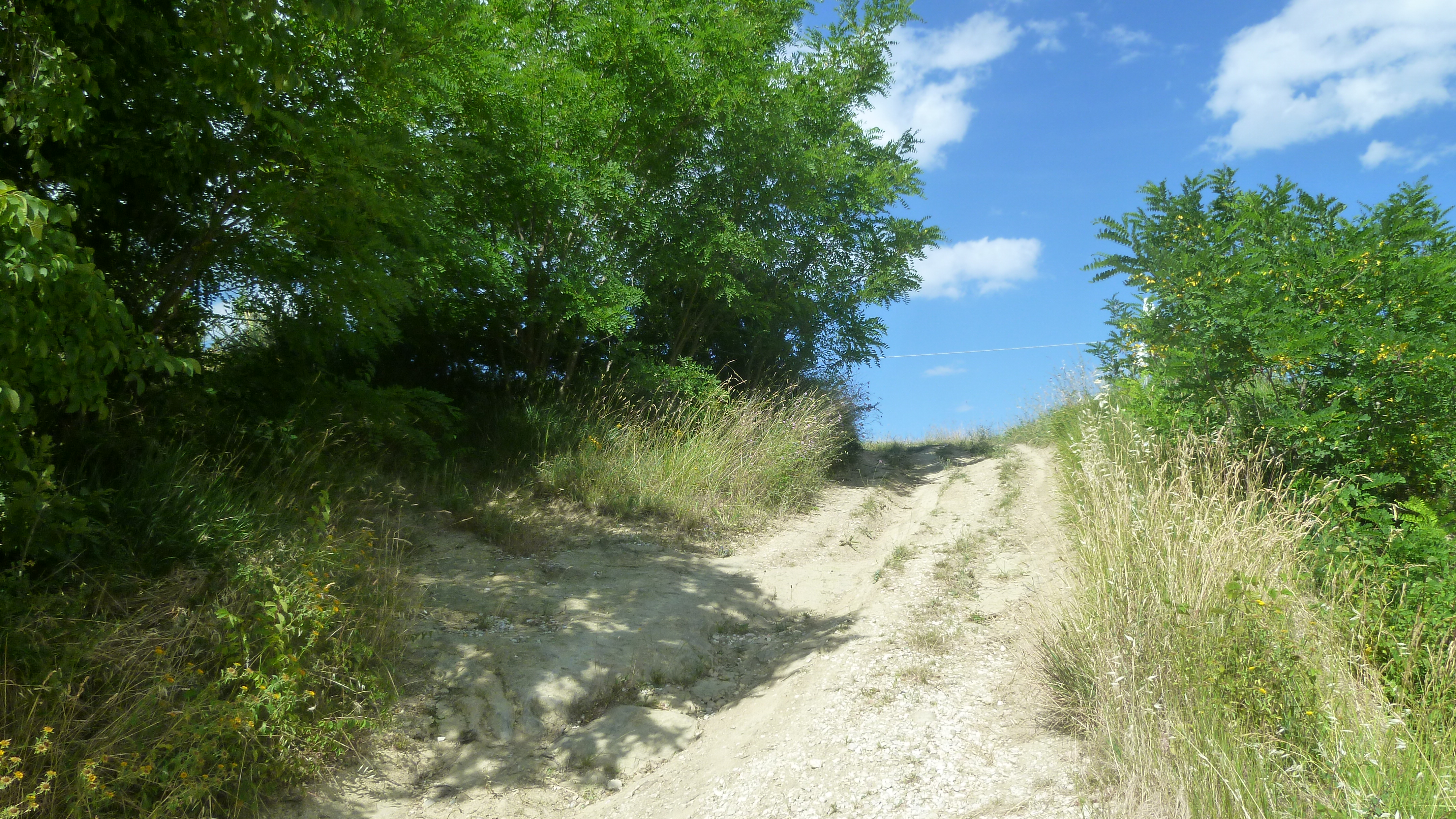 Terreno Edificabile Residenziale in vendita a Civitella del Tronto, Collevirt