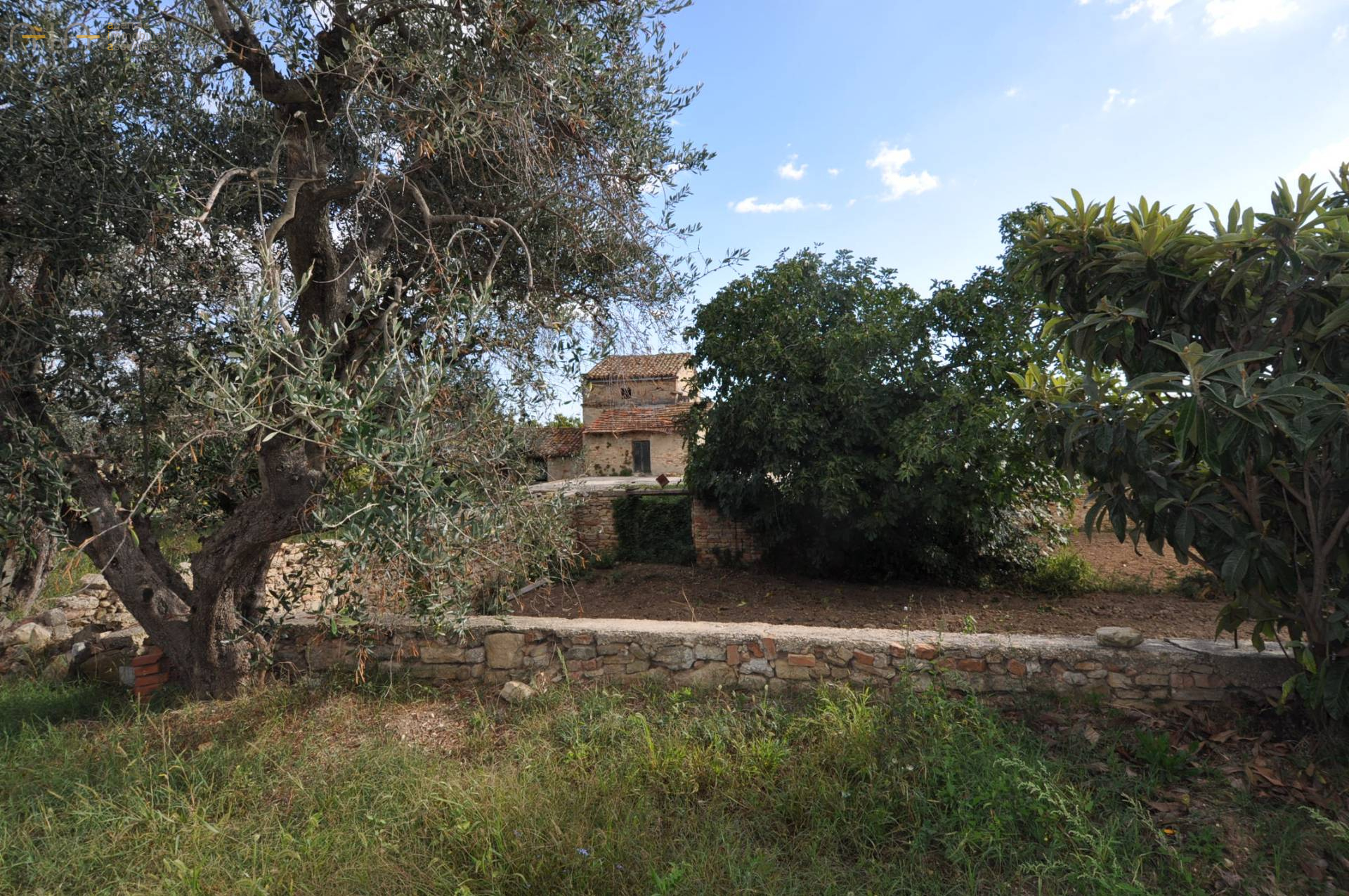 Casale Colonico Rustico in vendita a Acquaviva Picena, Collinare (esposizione verso il mare)