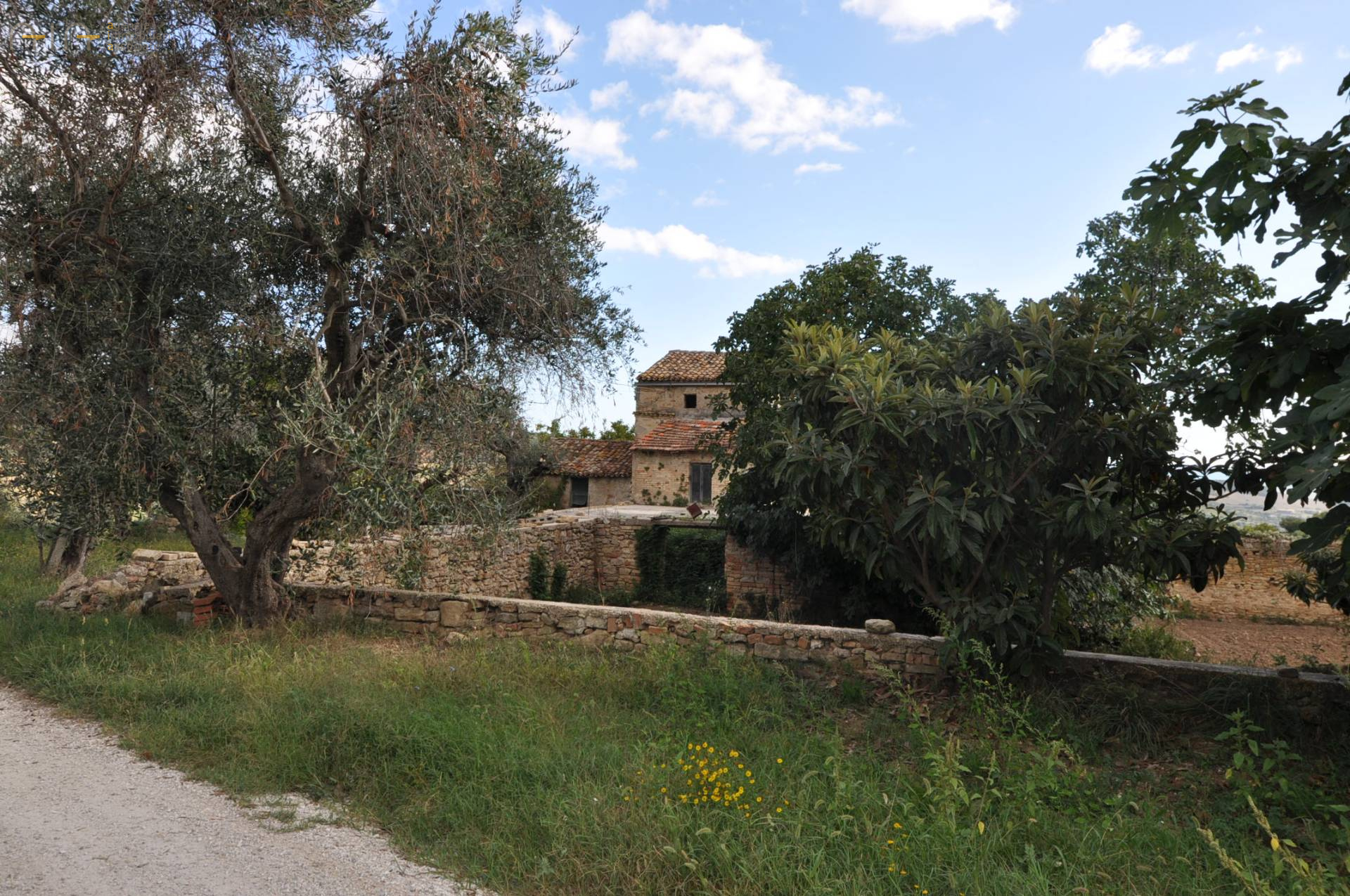 Casale Colonico Rustico in vendita a Acquaviva Picena, Collinare (esposizione verso il mare)