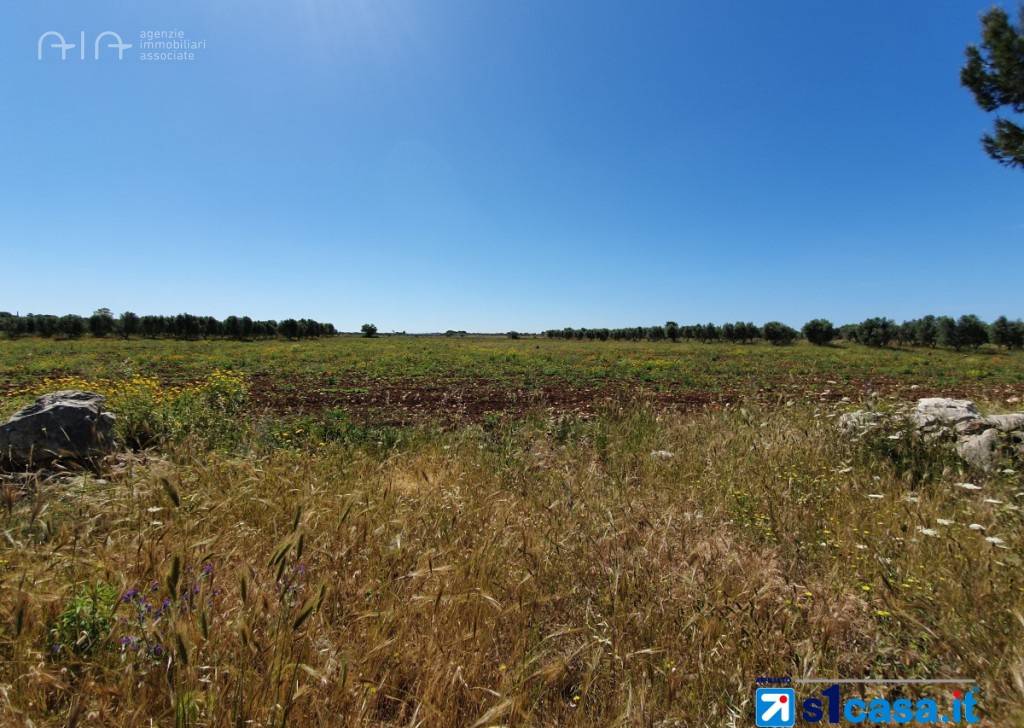 Terreno Edificabile Residenziale in vendita a Massignano, Collinare