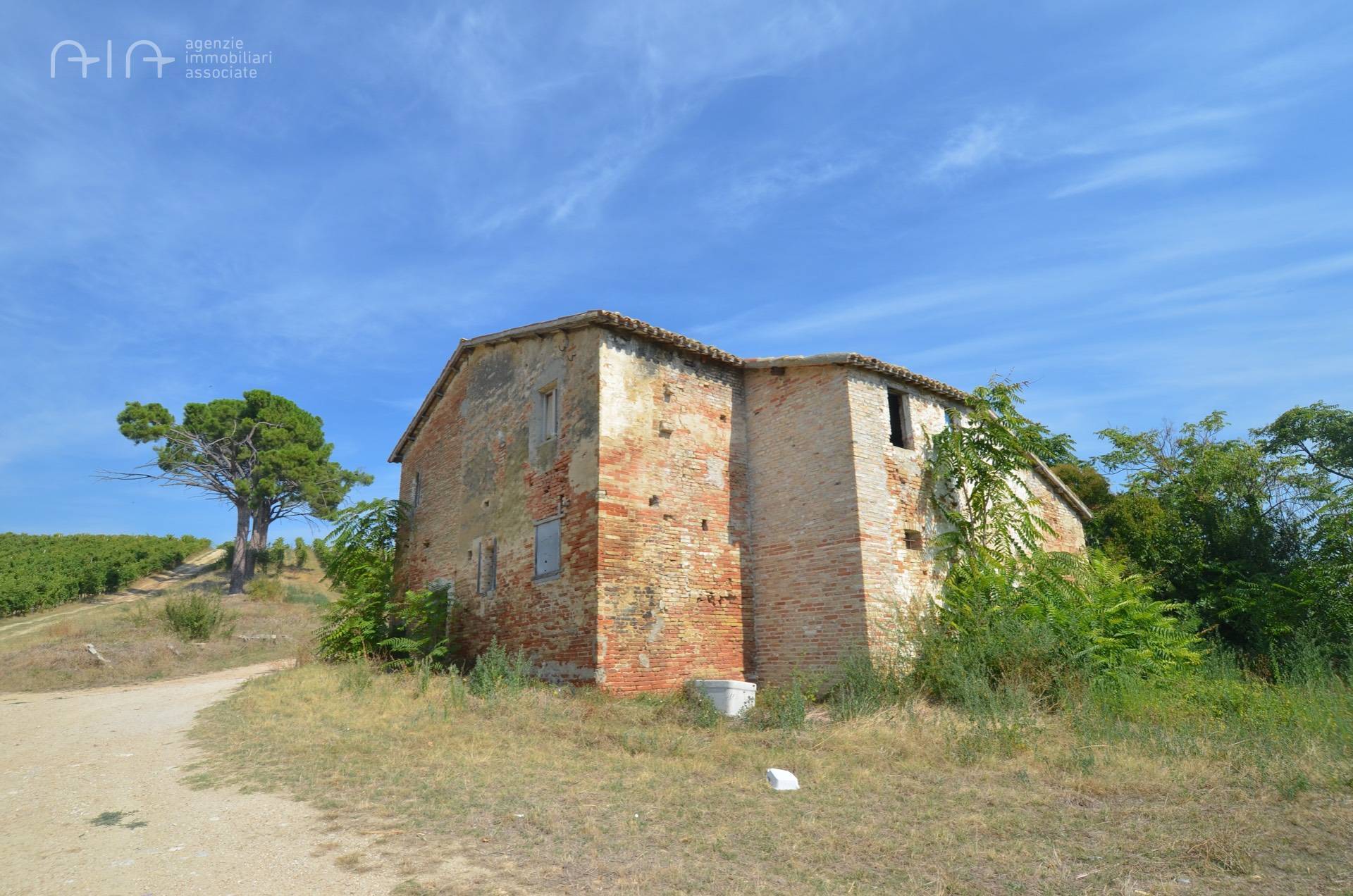 Casale Colonico Rustico in vendita a Spinetoli, Collinare