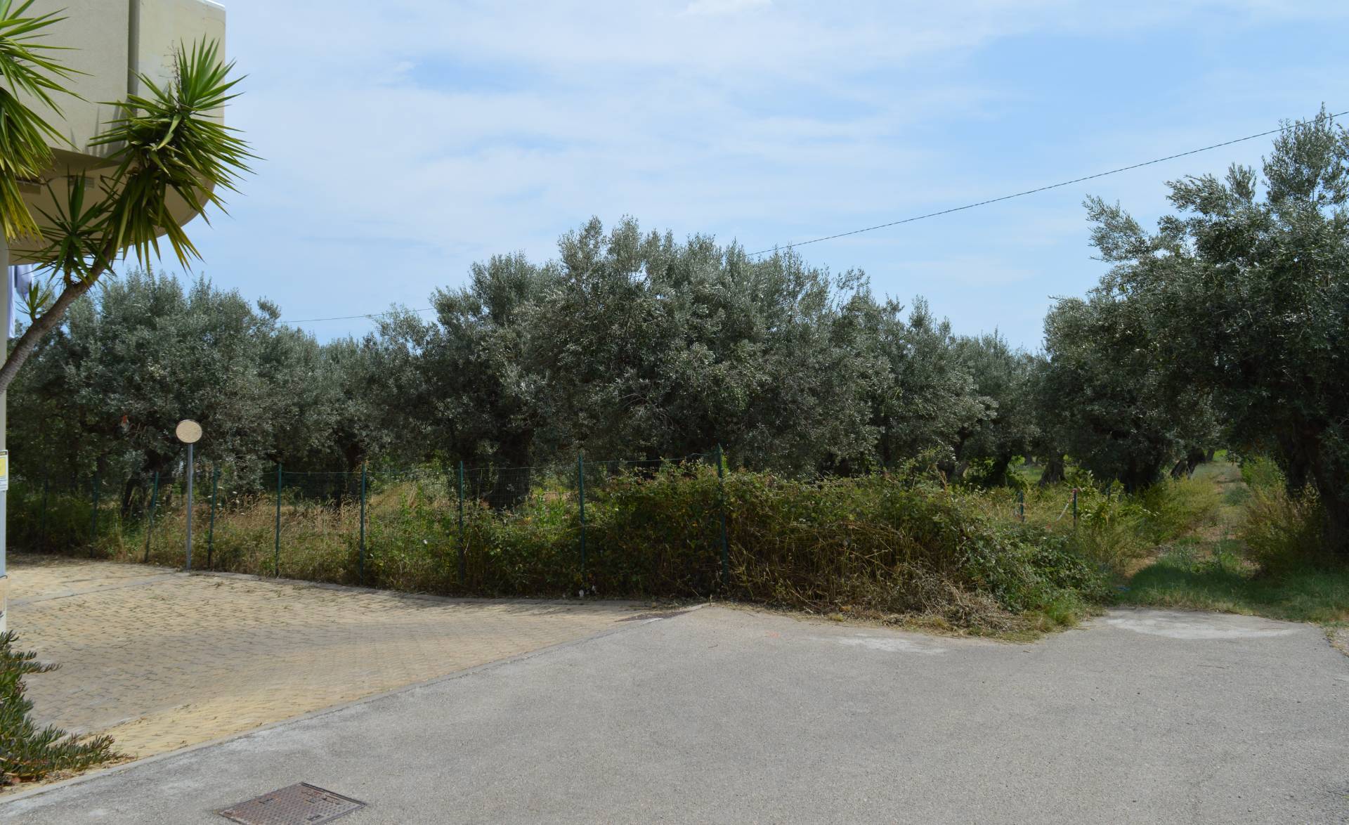 Terreno in vendita, Vasto paese