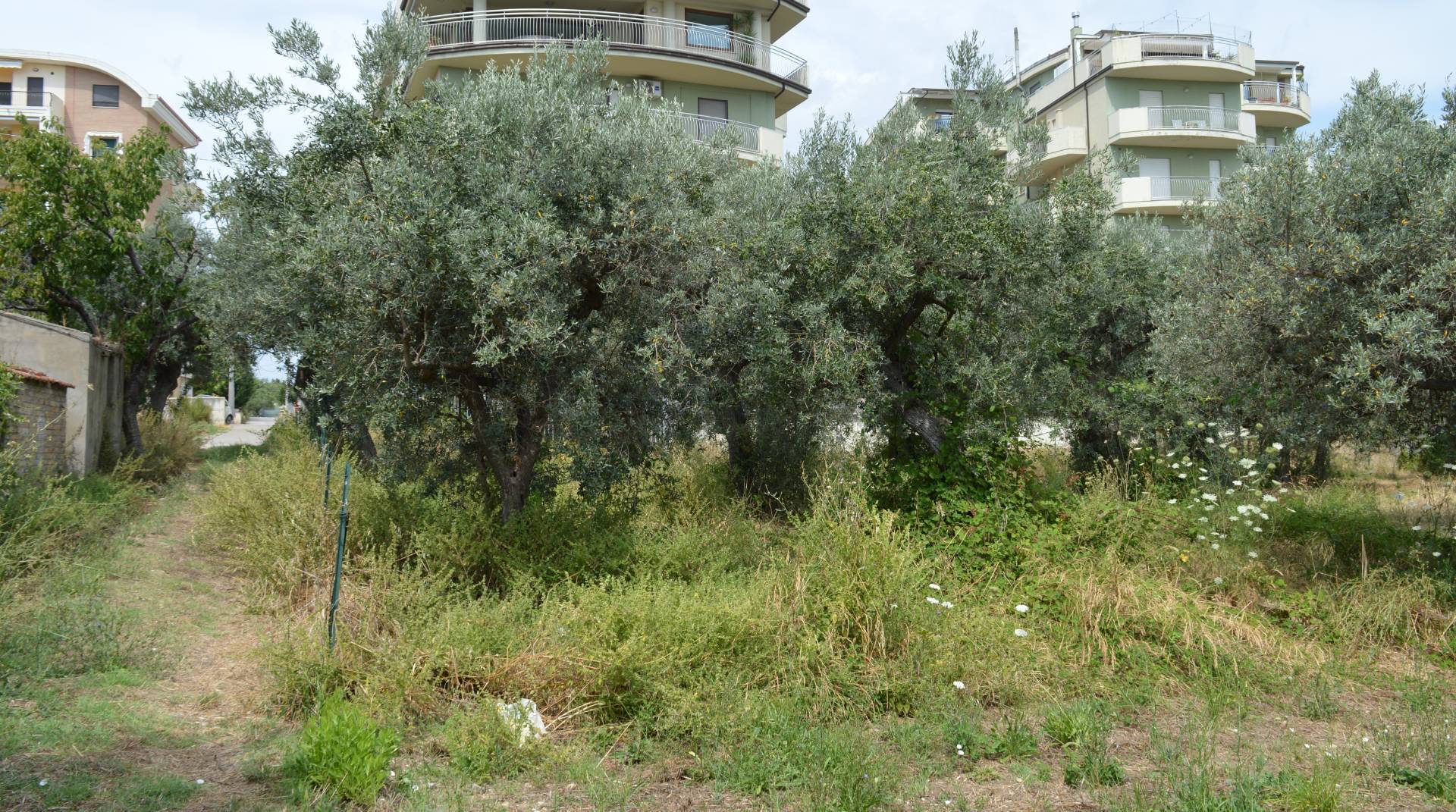 AGRICOLO/EDIFICABILE in vendita a Vasto, Vasto Paese