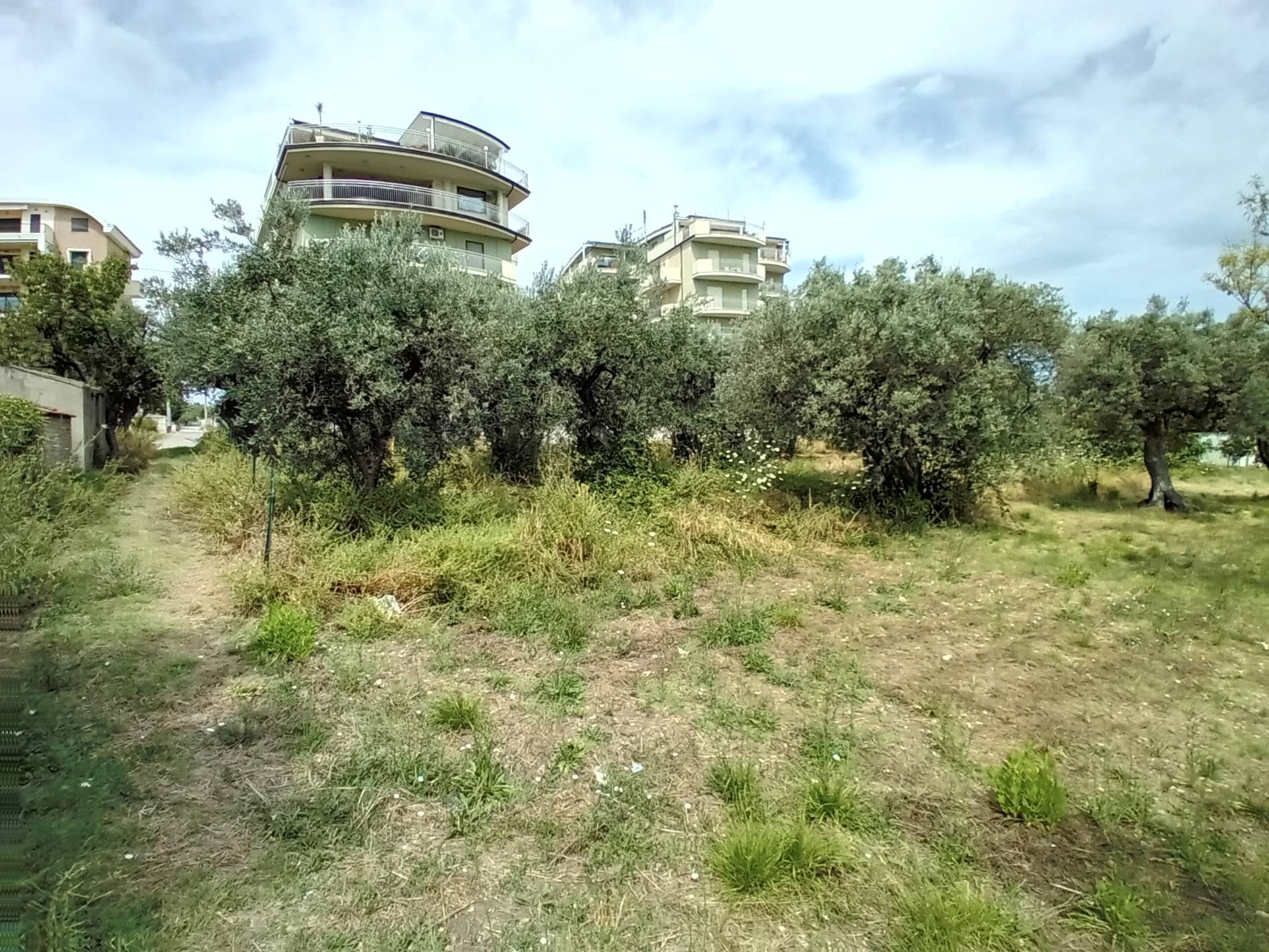 AGRICOLO/EDIFICABILE in vendita a Vasto, Vasto Paese