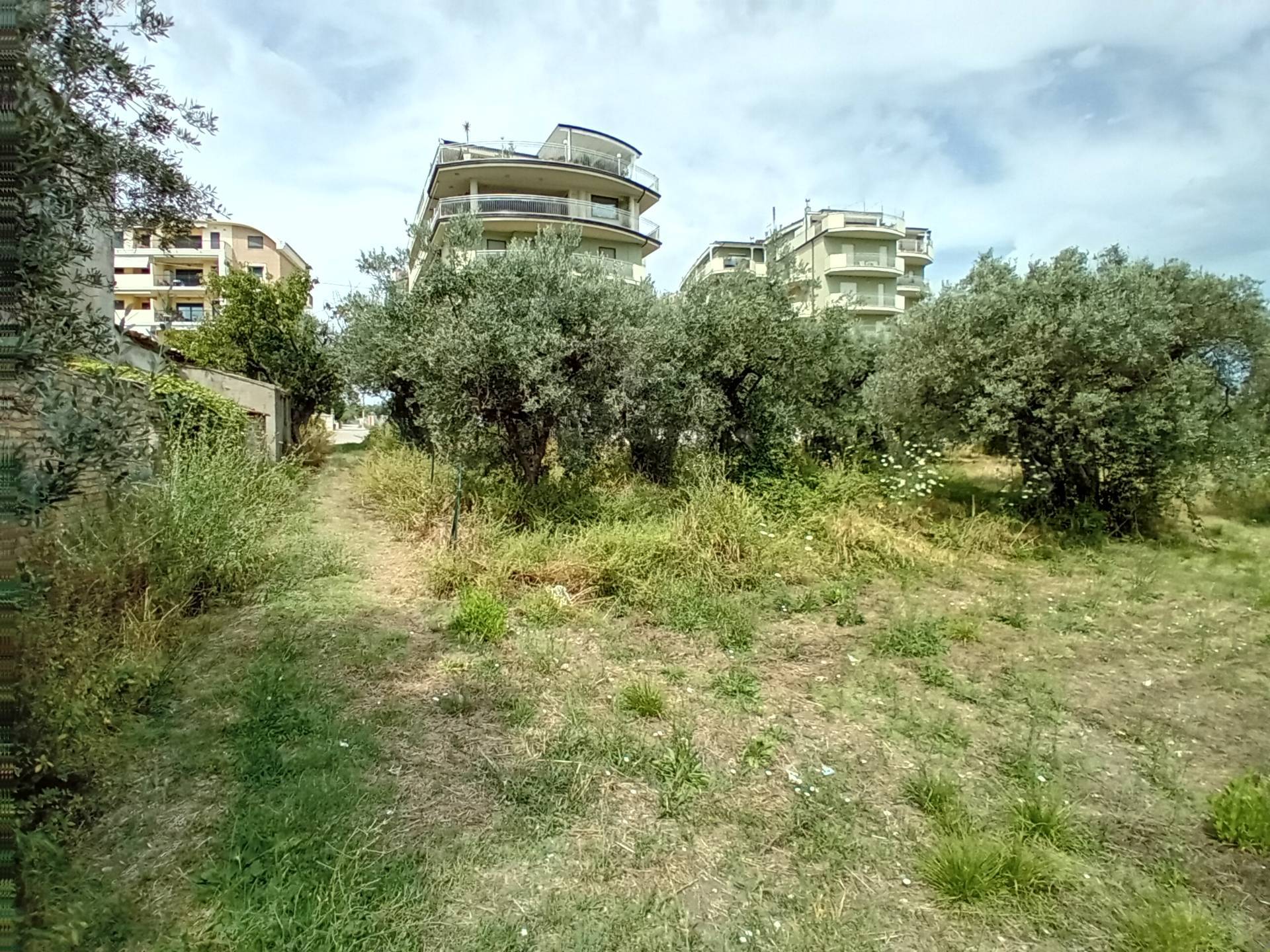 AGRICOLO/EDIFICABILE in vendita a Vasto, Vasto Paese