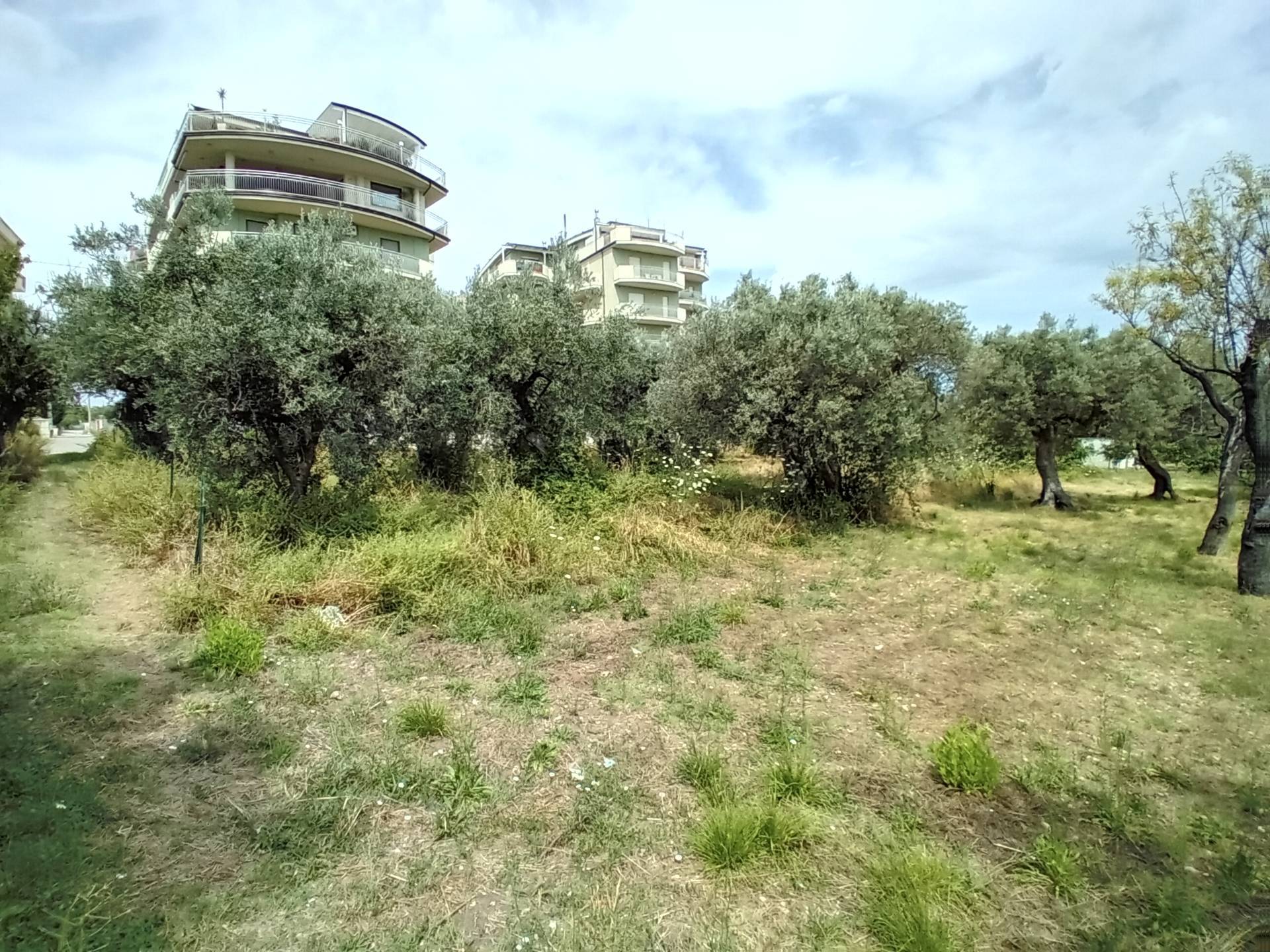 AGRICOLO/EDIFICABILE in vendita a Vasto, Vasto Paese