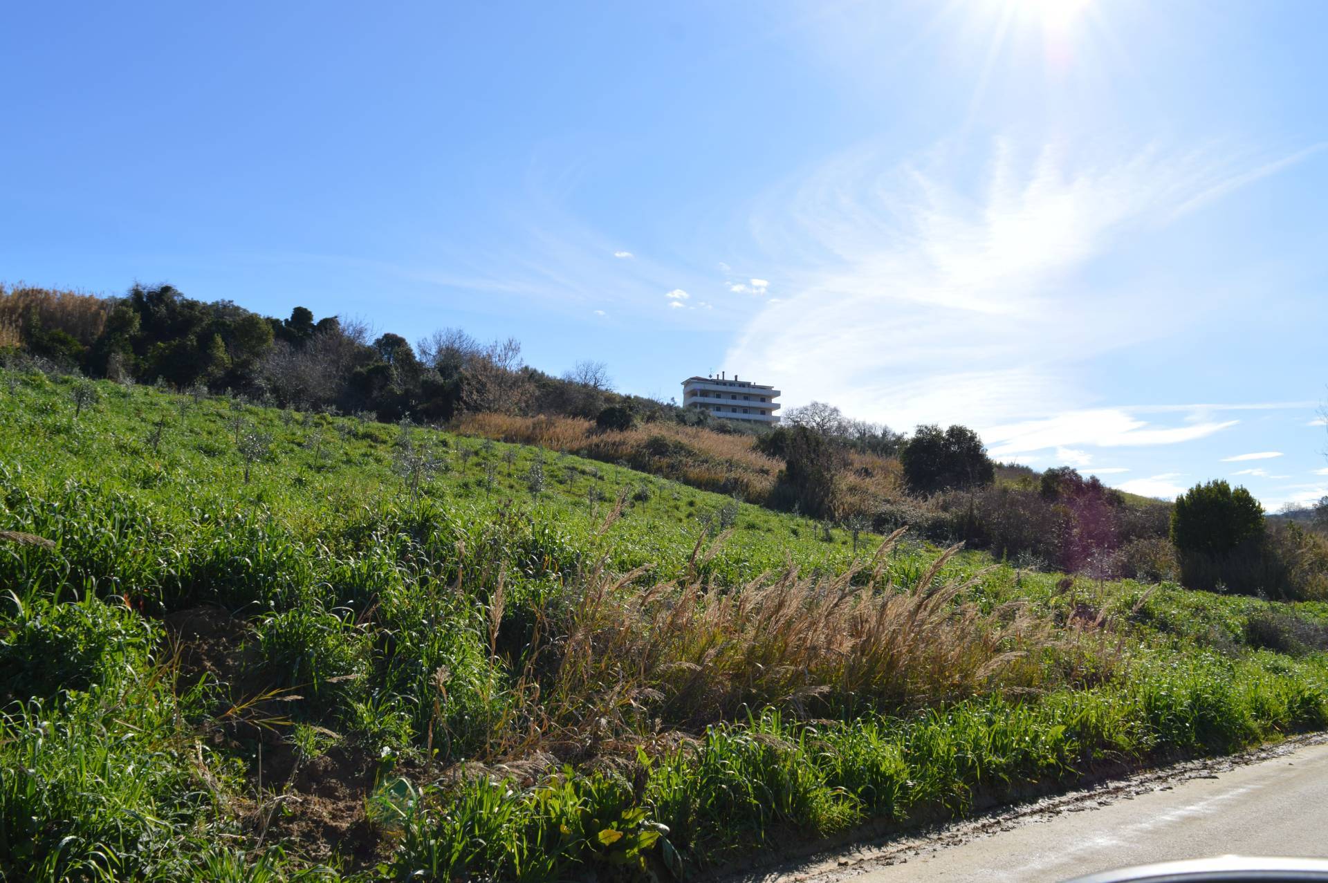 Terreno Agricolo in vendita a Vasto, Vasto Paese