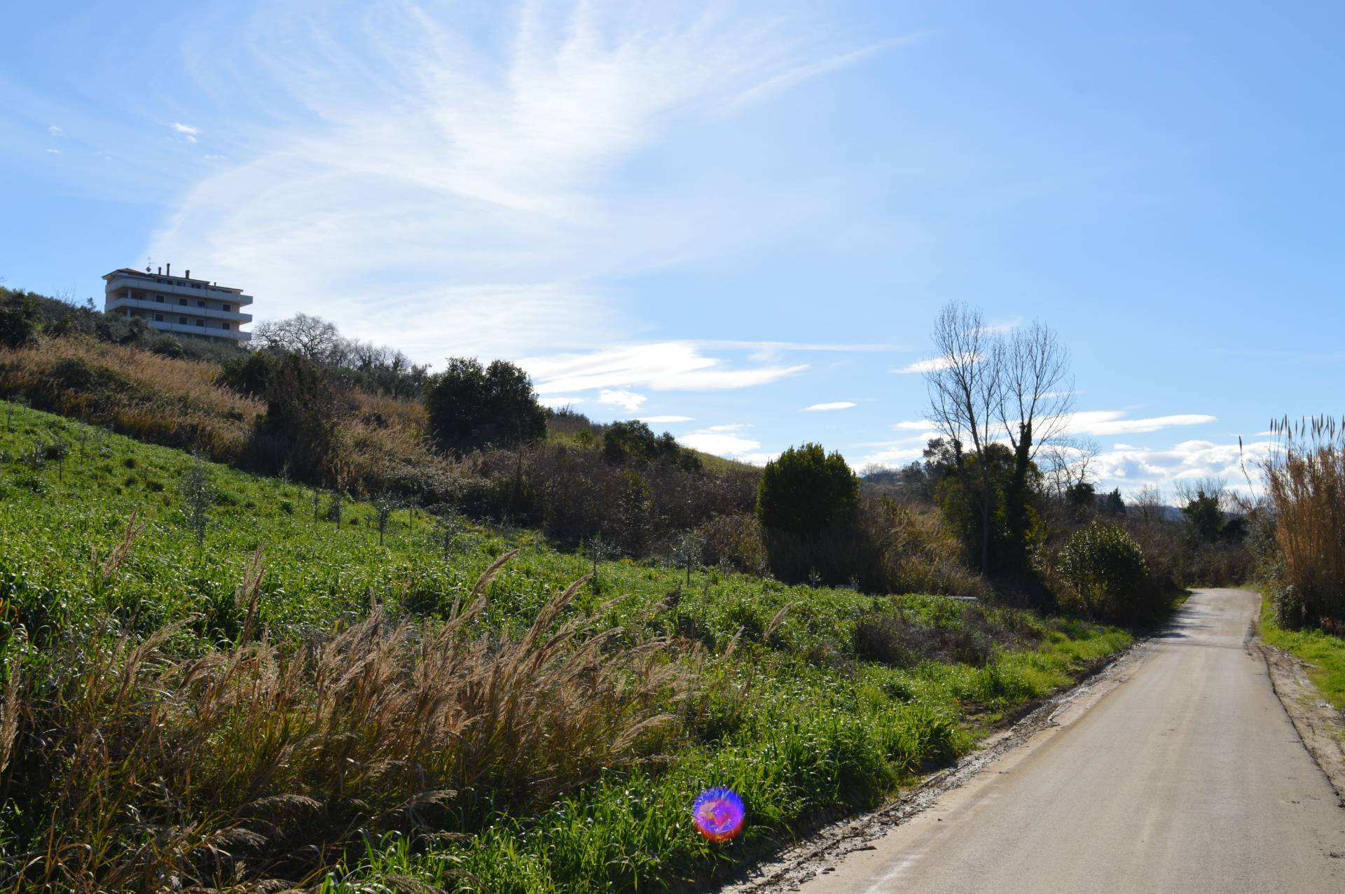 Terreno Agricolo in vendita a Vasto, Vasto Paese