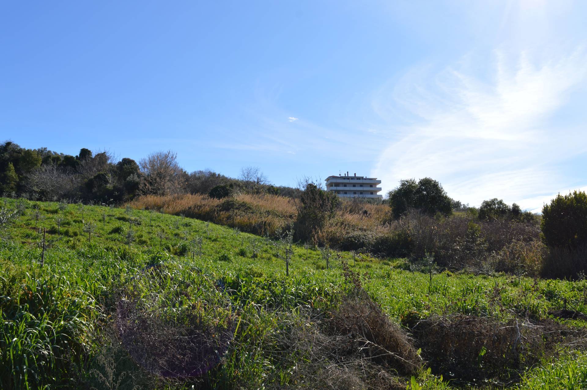 Terreno Agricolo in vendita a Vasto, Vasto Paese