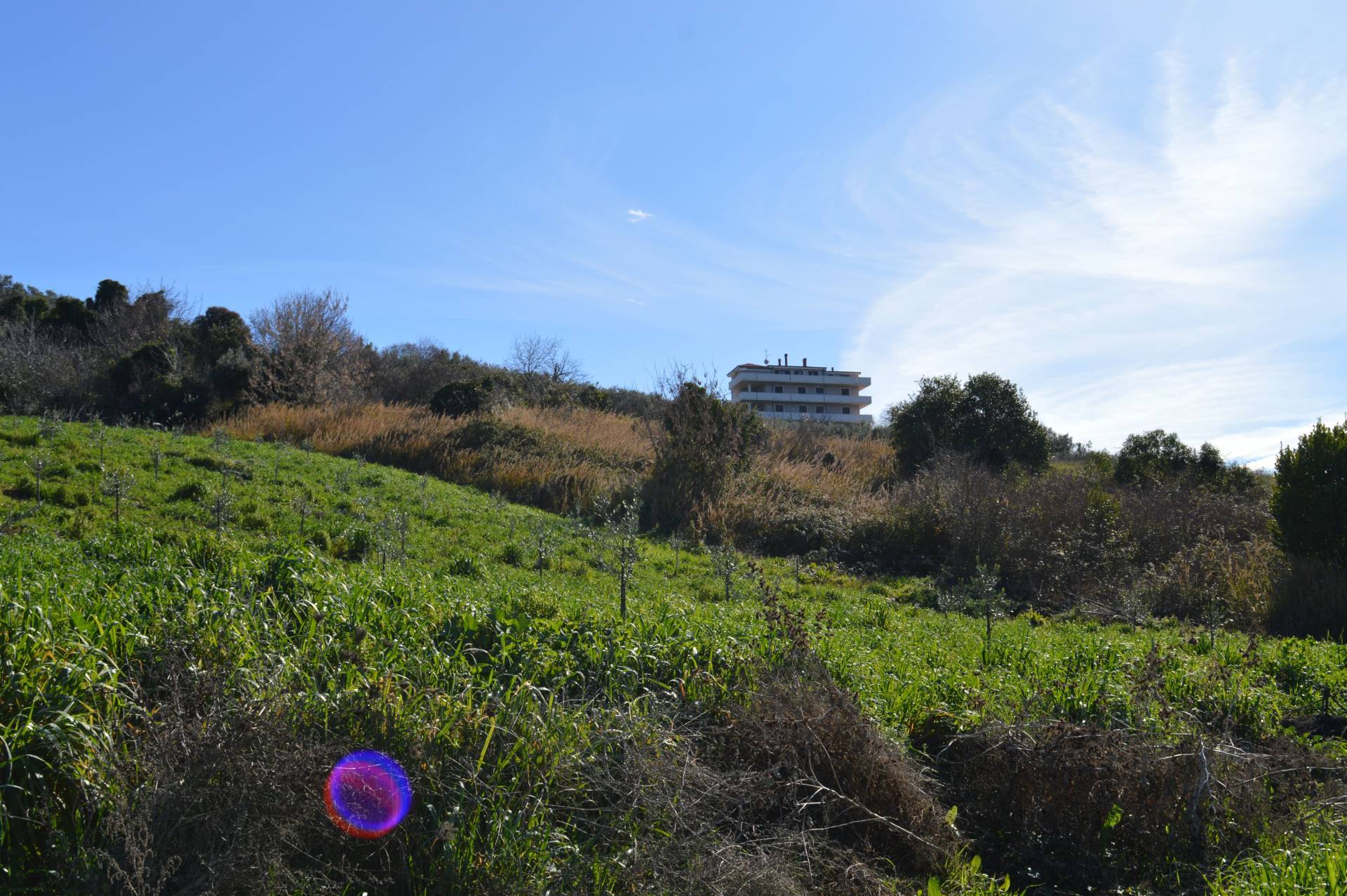 Terreno Agricolo in vendita a Vasto, Vasto Paese