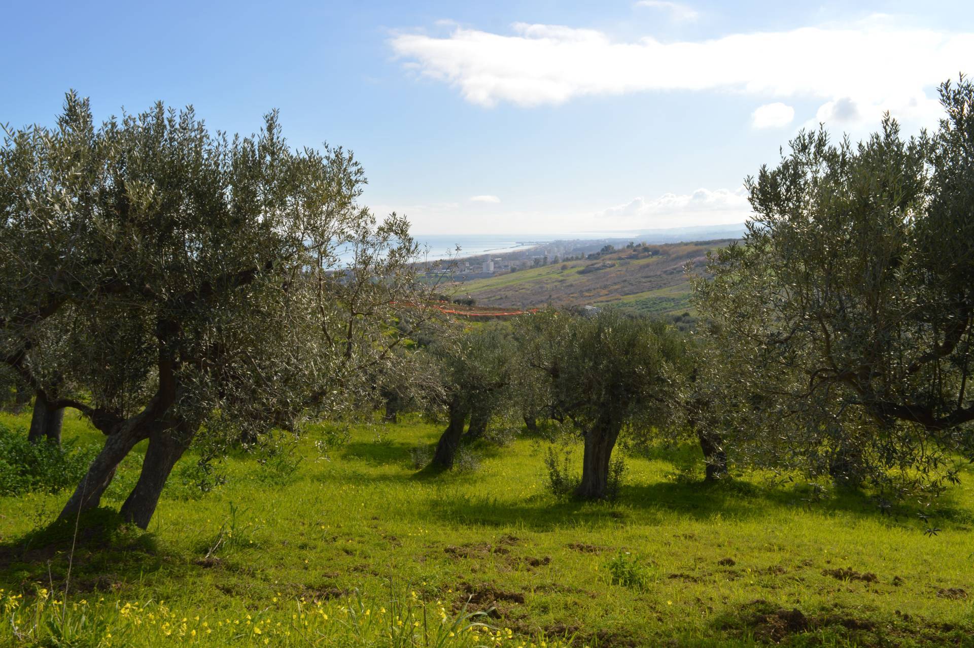 Terreno Agricolo in vendita a Vasto, Vasto Paese