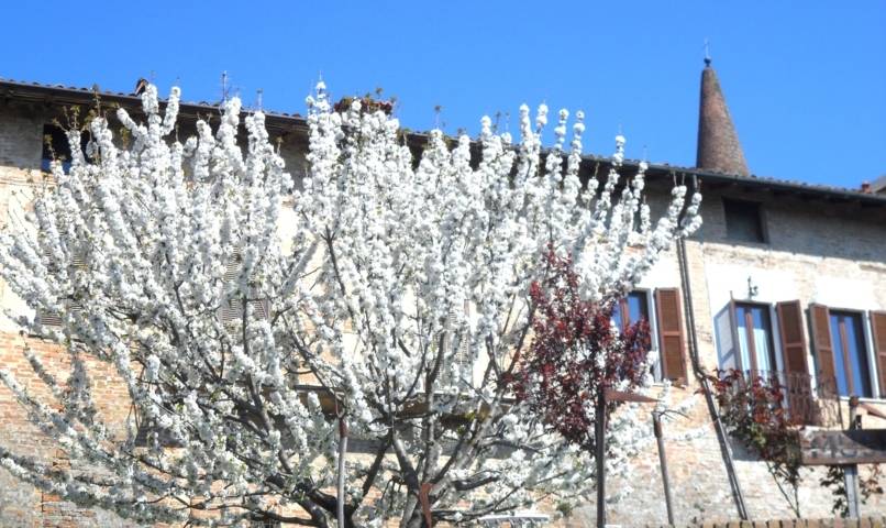 Casa singola in vendita a Casteggio