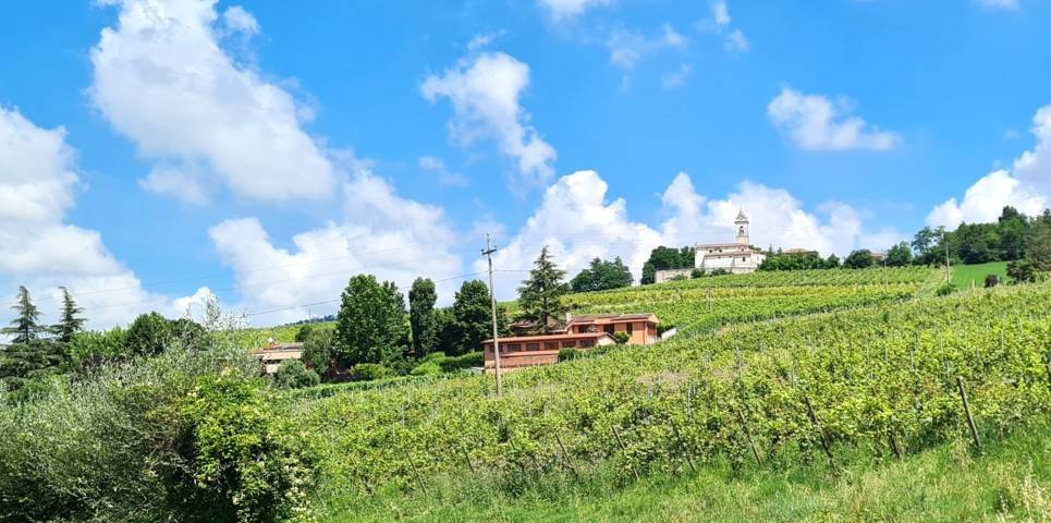 Casa singola in vendita a Borgo Priolo
