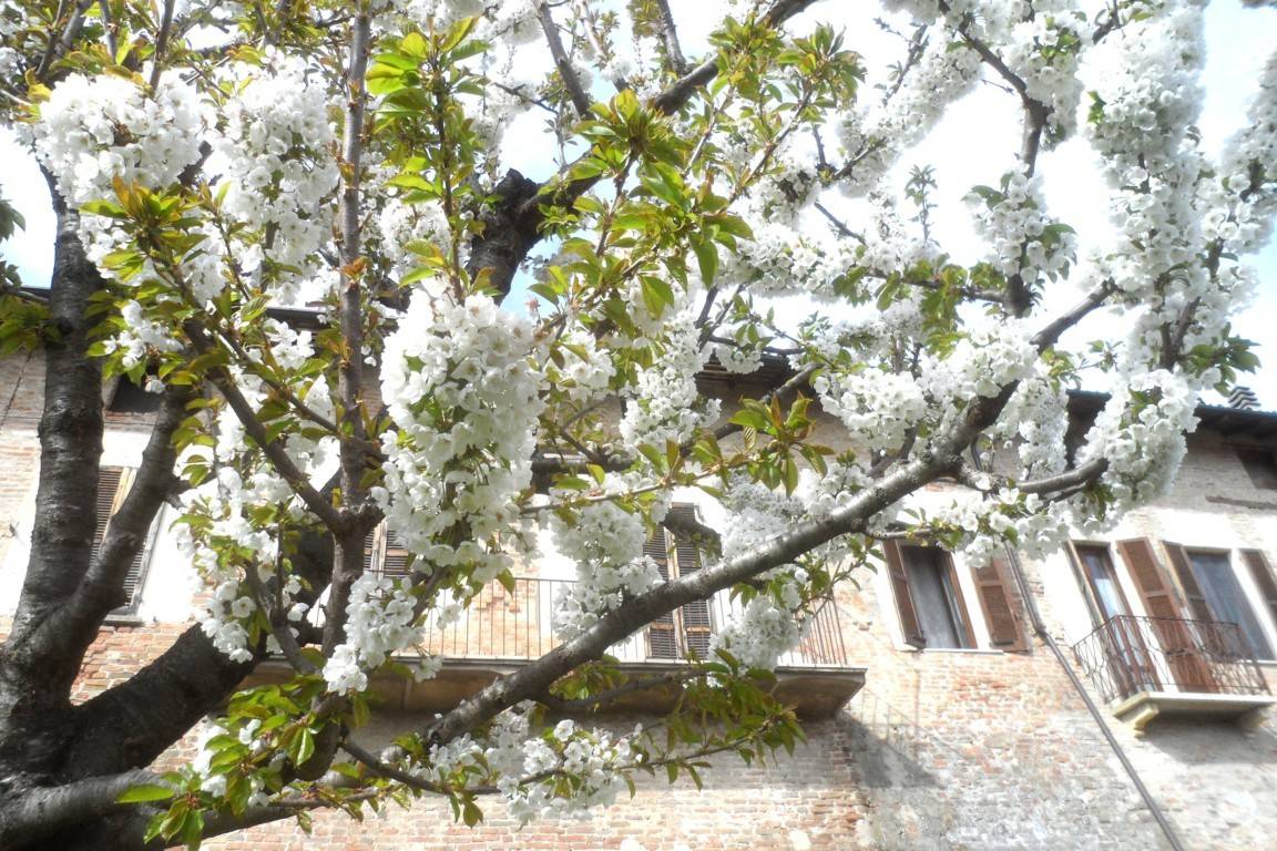 Casa singola in vendita a Casteggio
