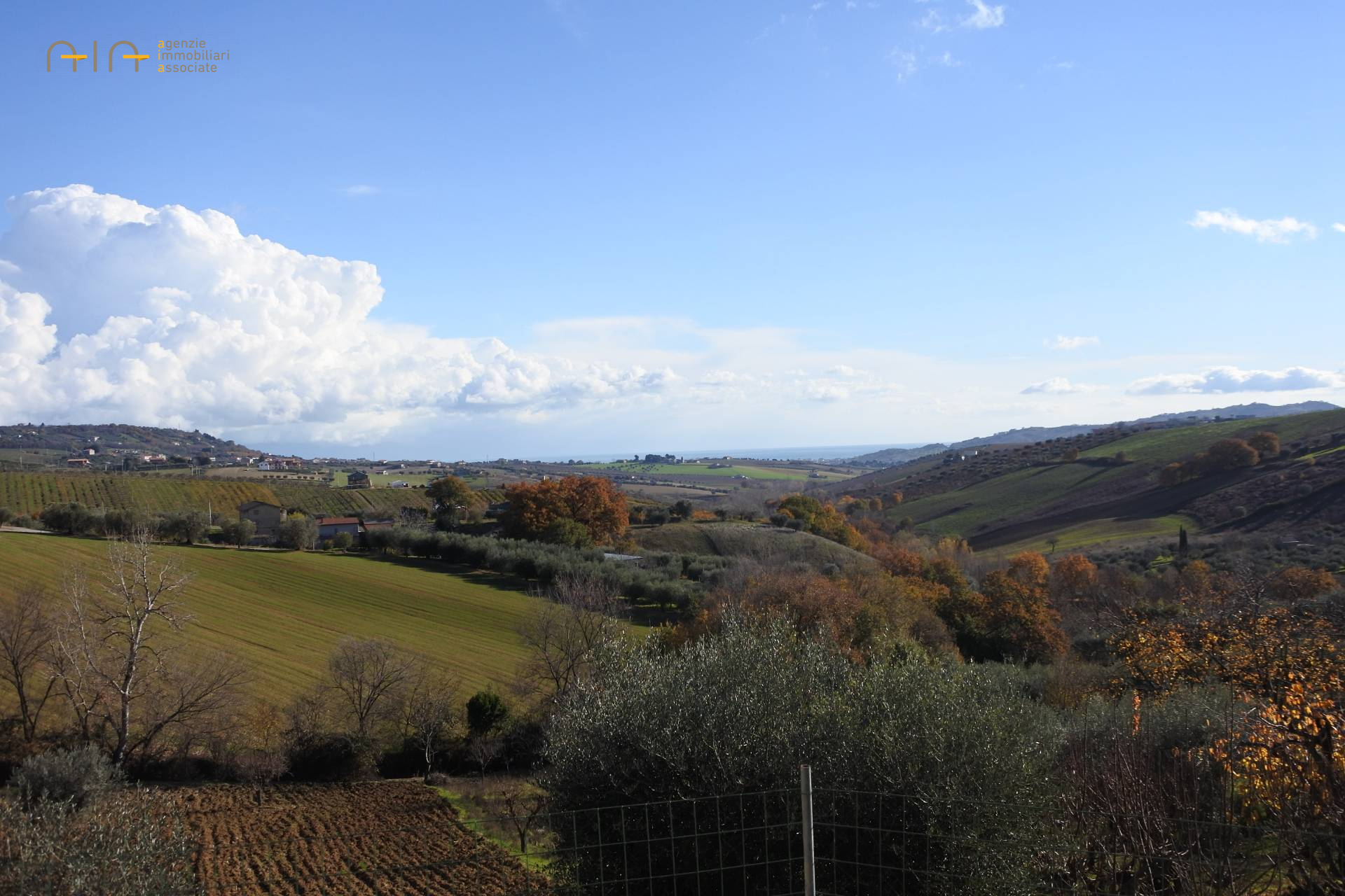immagine annuncio 2 di 6