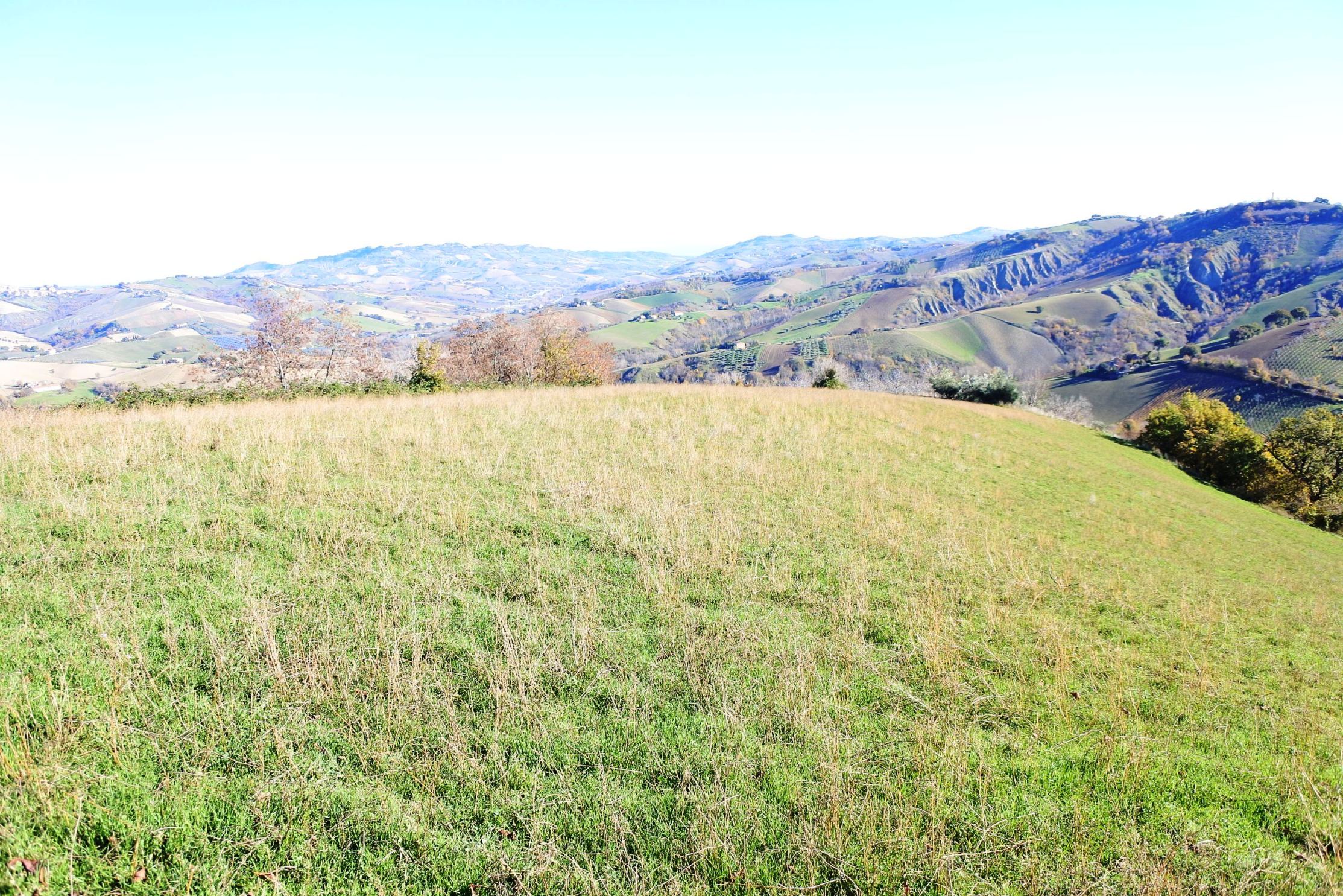 Casale Colonico Rustico in vendita a Castignano, Collinare