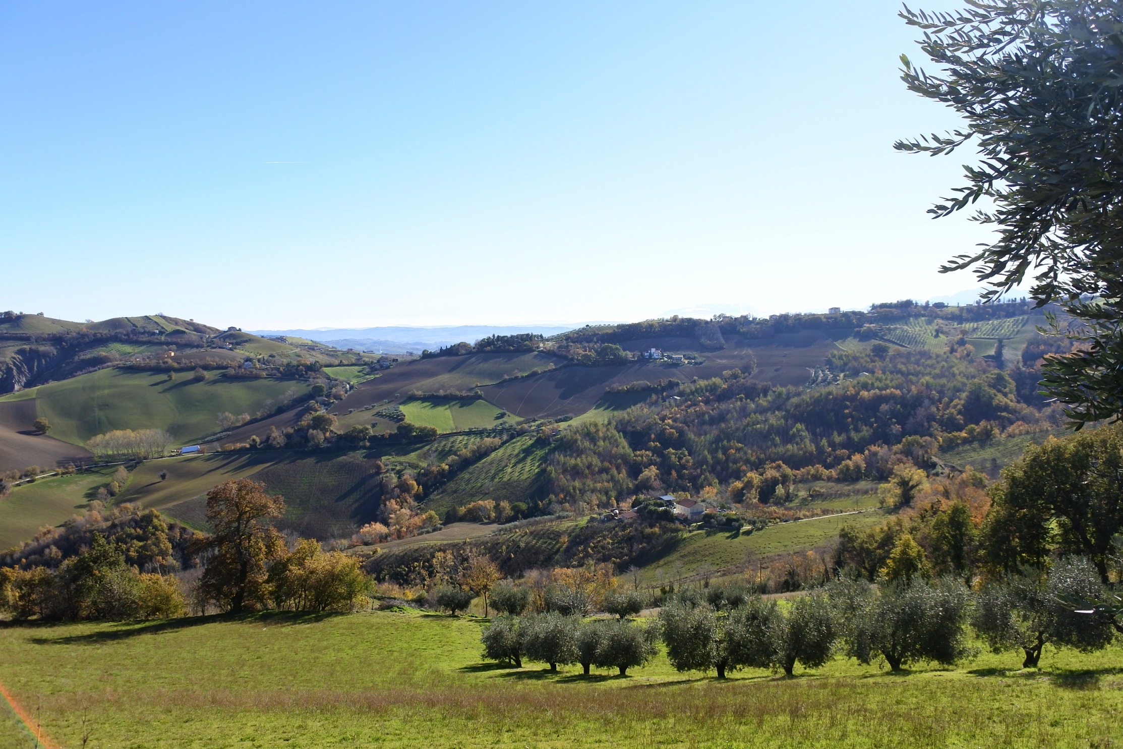 immagine annuncio 2 di 6