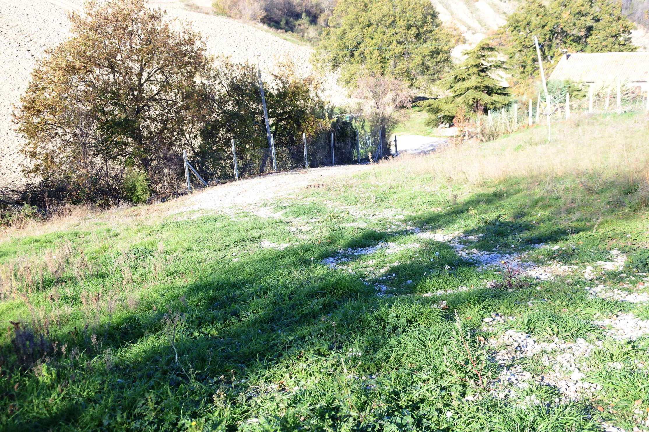 Casale Colonico Rustico in vendita a Castignano, Collinare