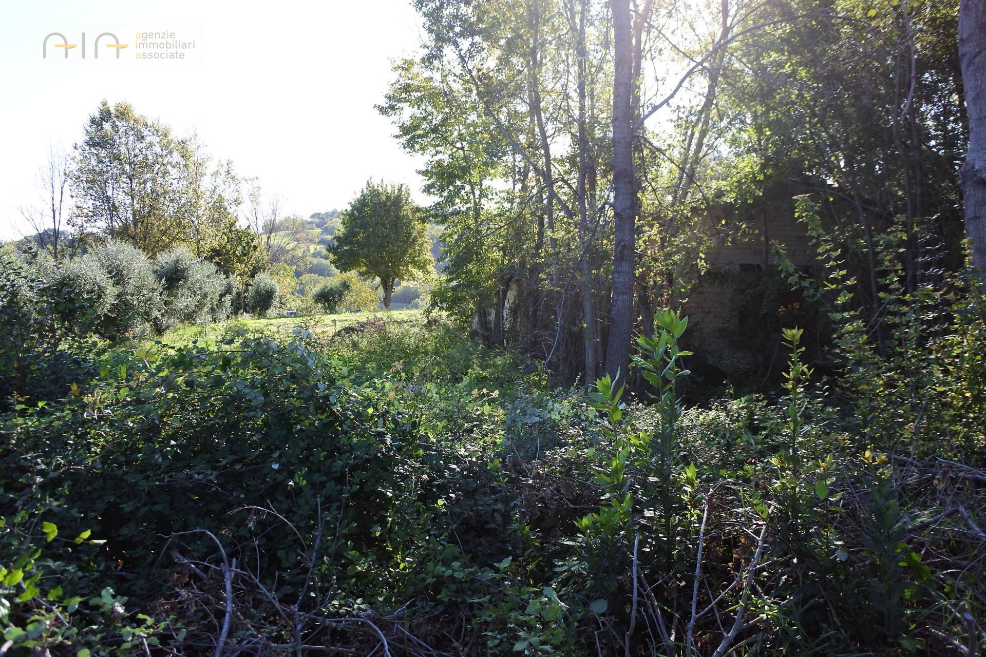 Casale Colonico Rustico in vendita a Monterubbiano