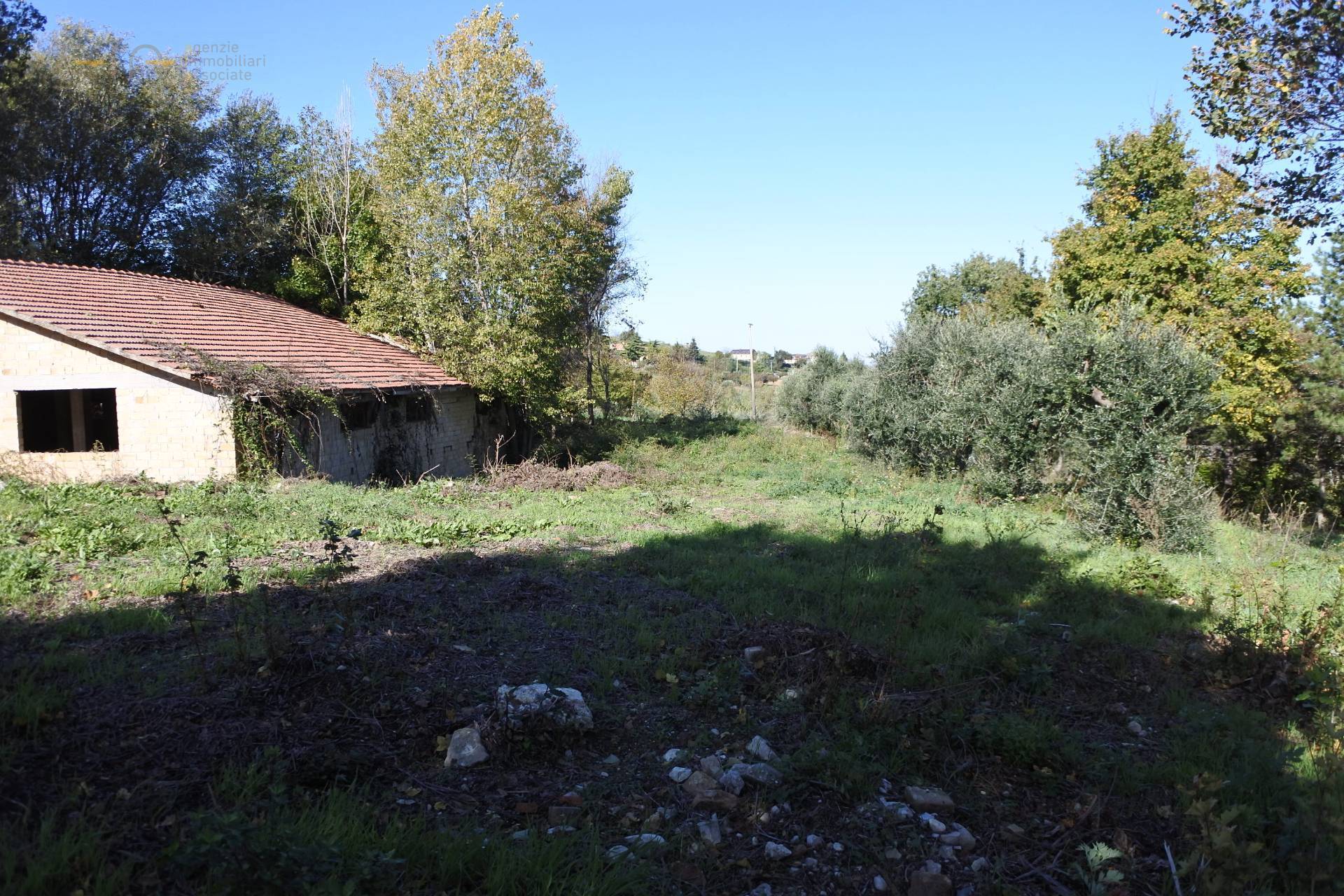 Casale Colonico Rustico in vendita a Monterubbiano