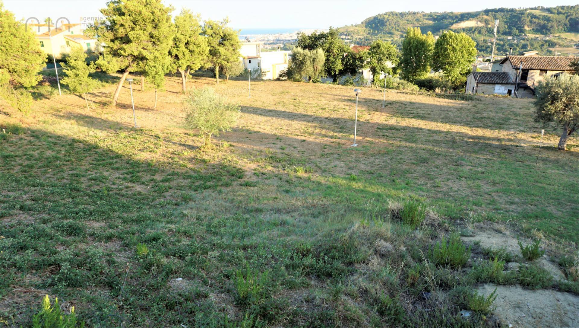 immagine annuncio 5 di 6