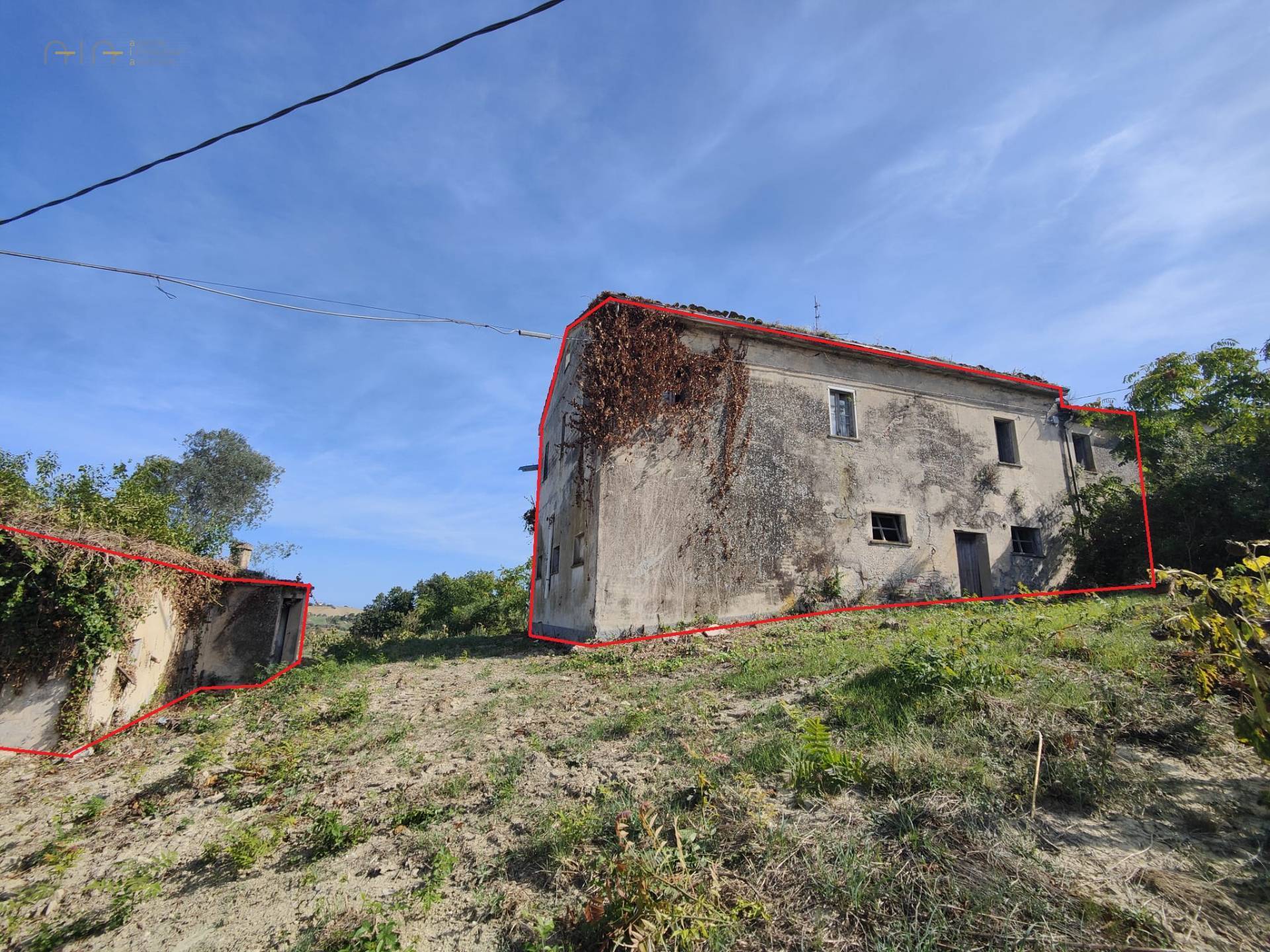 immagine annuncio 3 di 10