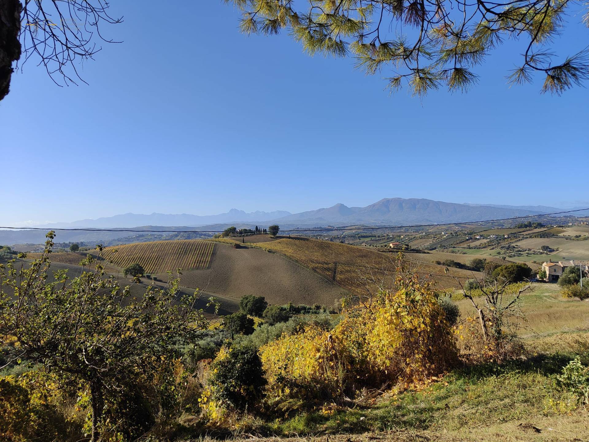 Casale Colonico Rustico in vendita a Acquaviva Picena