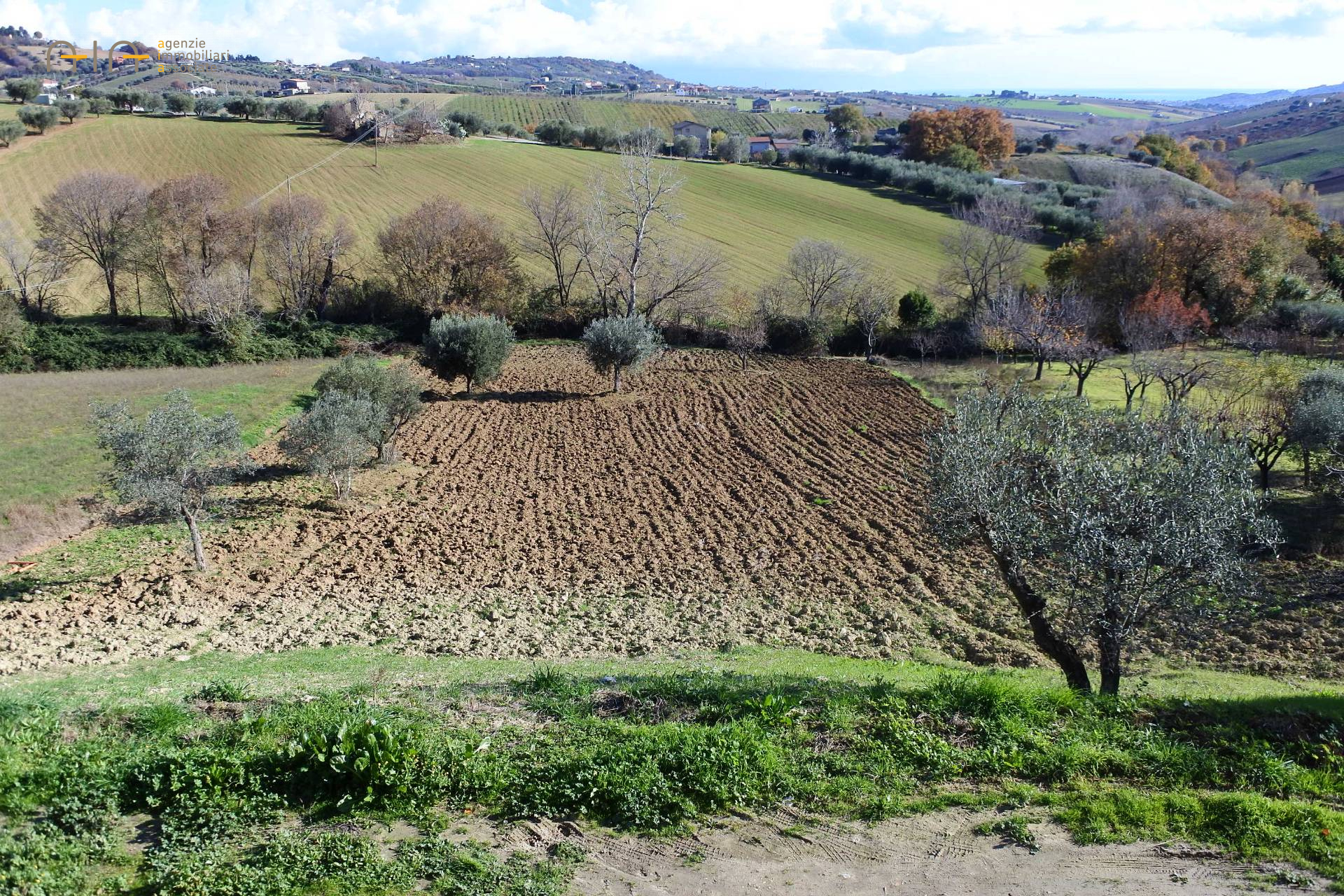 Villa singola in vendita a Colonnella, Collinare
